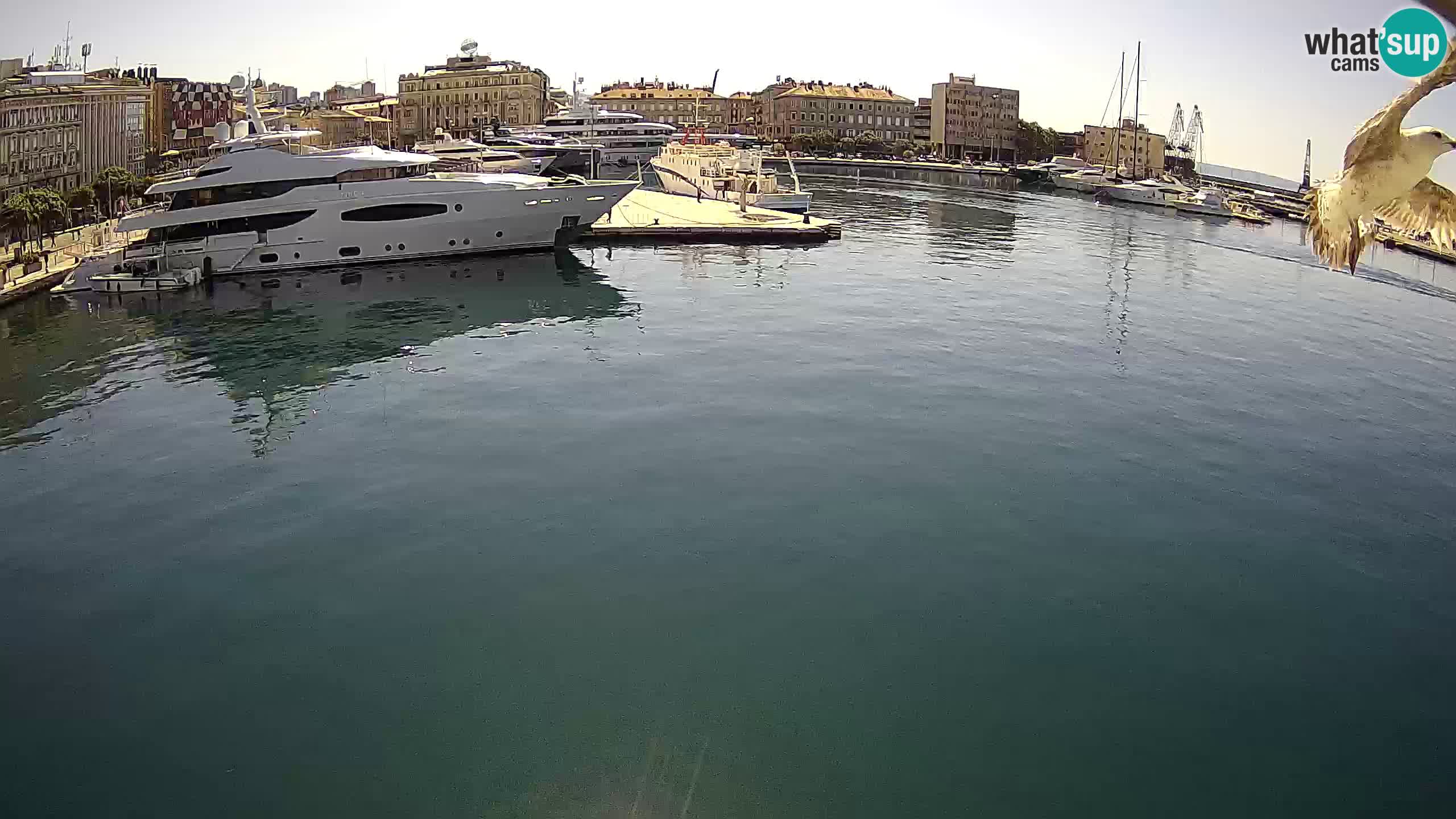Rijeka – Botel Marina webcam en direct
