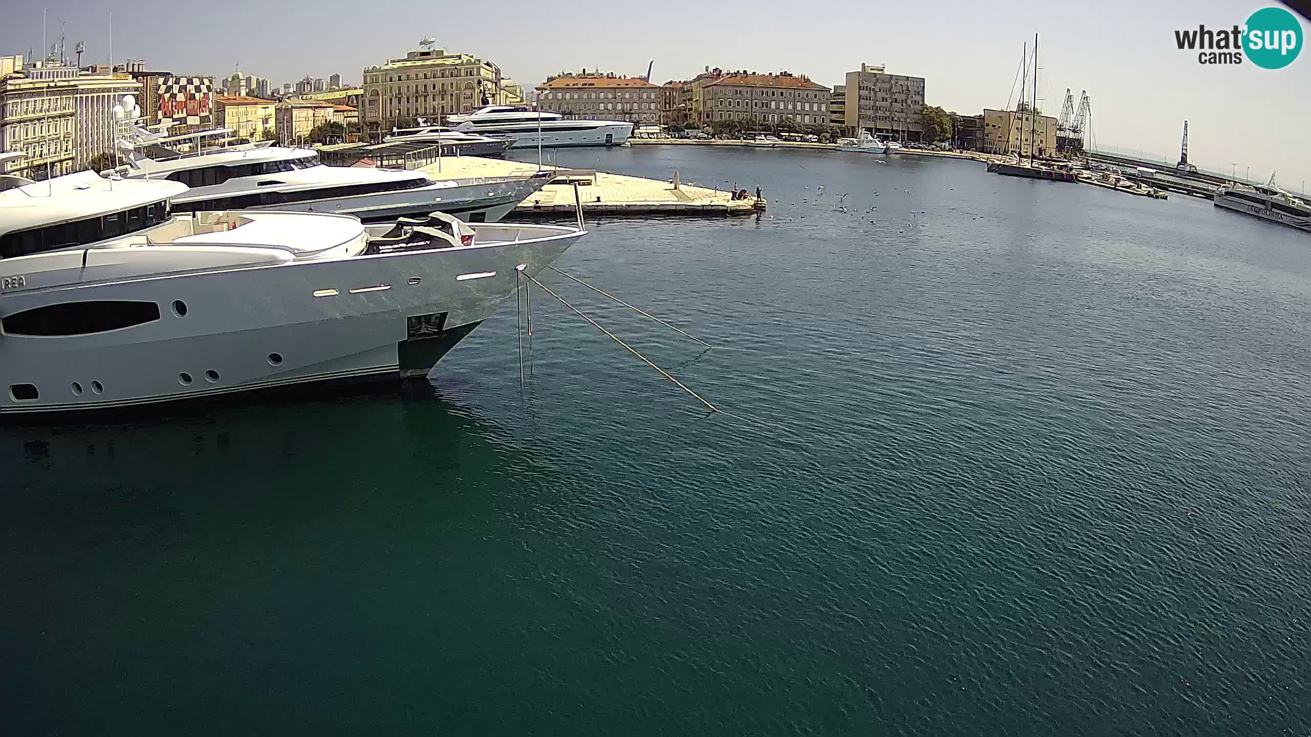 Reka – Botel Marina spletna kamera