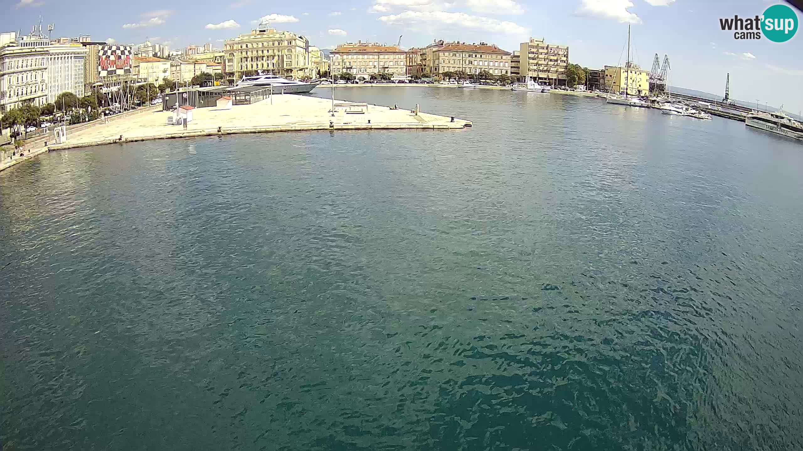 Rijeka – Botel Marina webcam en direct