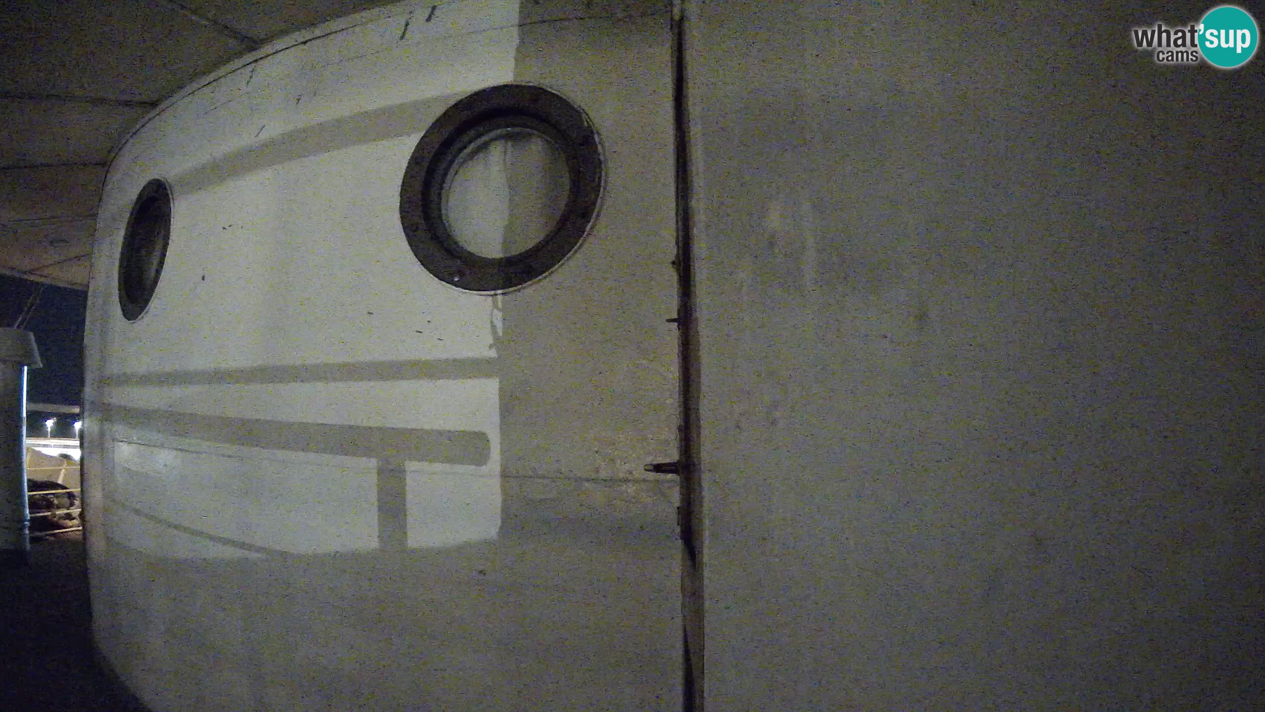 Rijeka – Botel Marina webcam en direct
