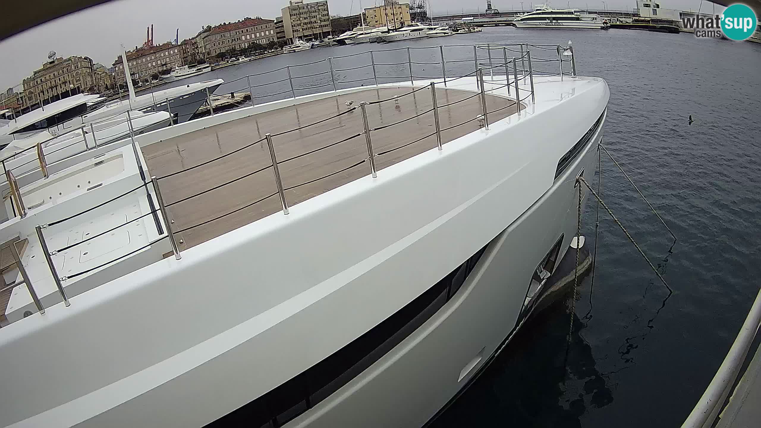 Botel Marina cámara web en vivo Rijeka