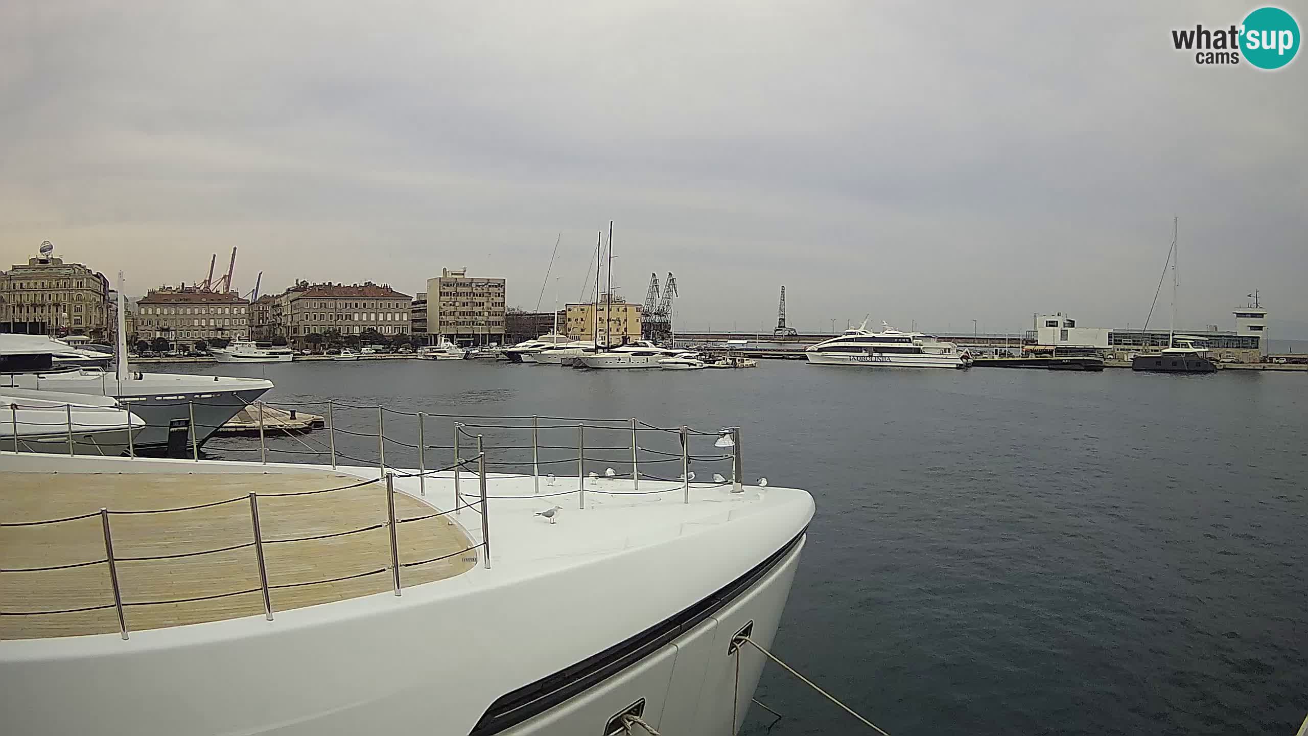 Botel Marina cámara web en vivo Rijeka