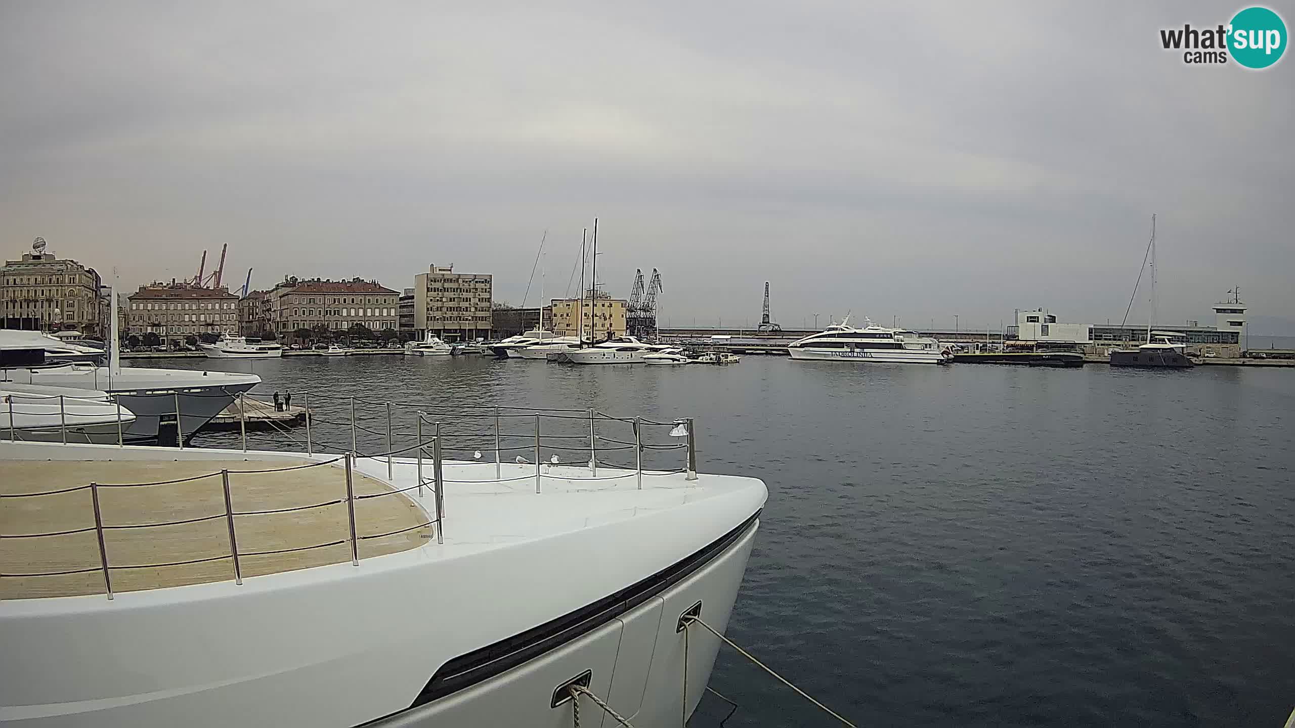 Botel Marina cámara web en vivo Rijeka