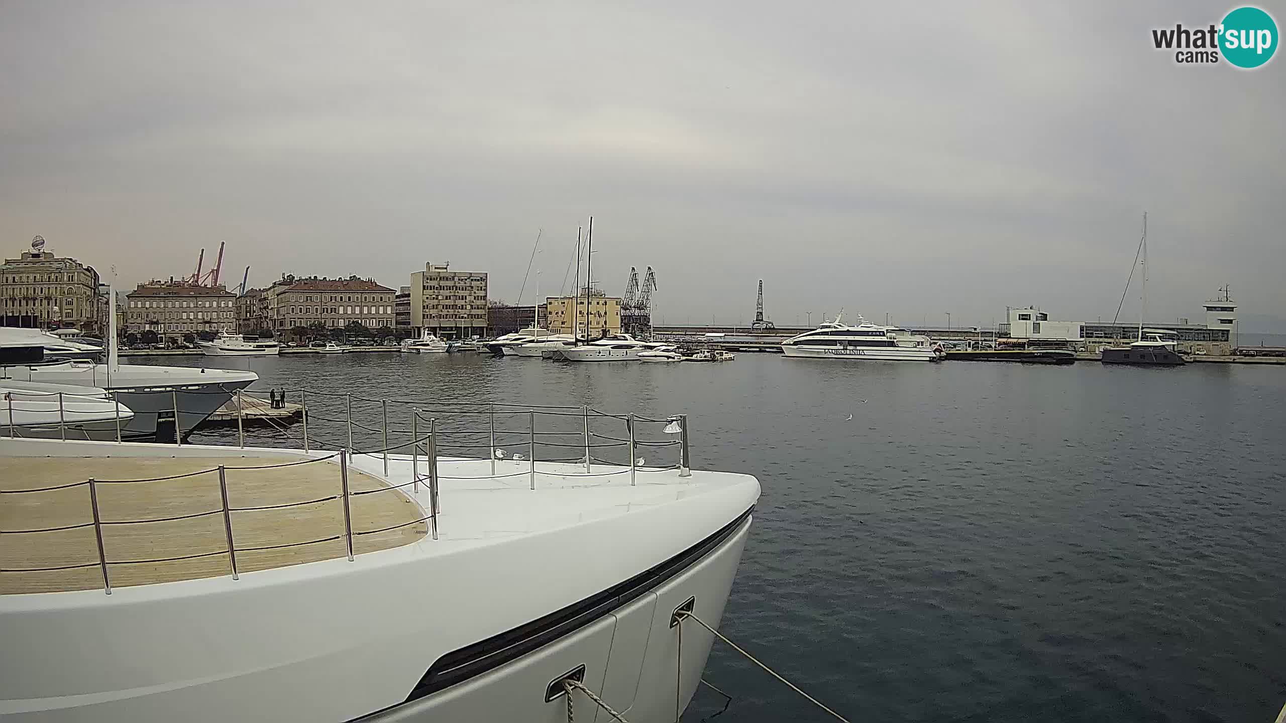 Botel Marina cámara web en vivo Rijeka
