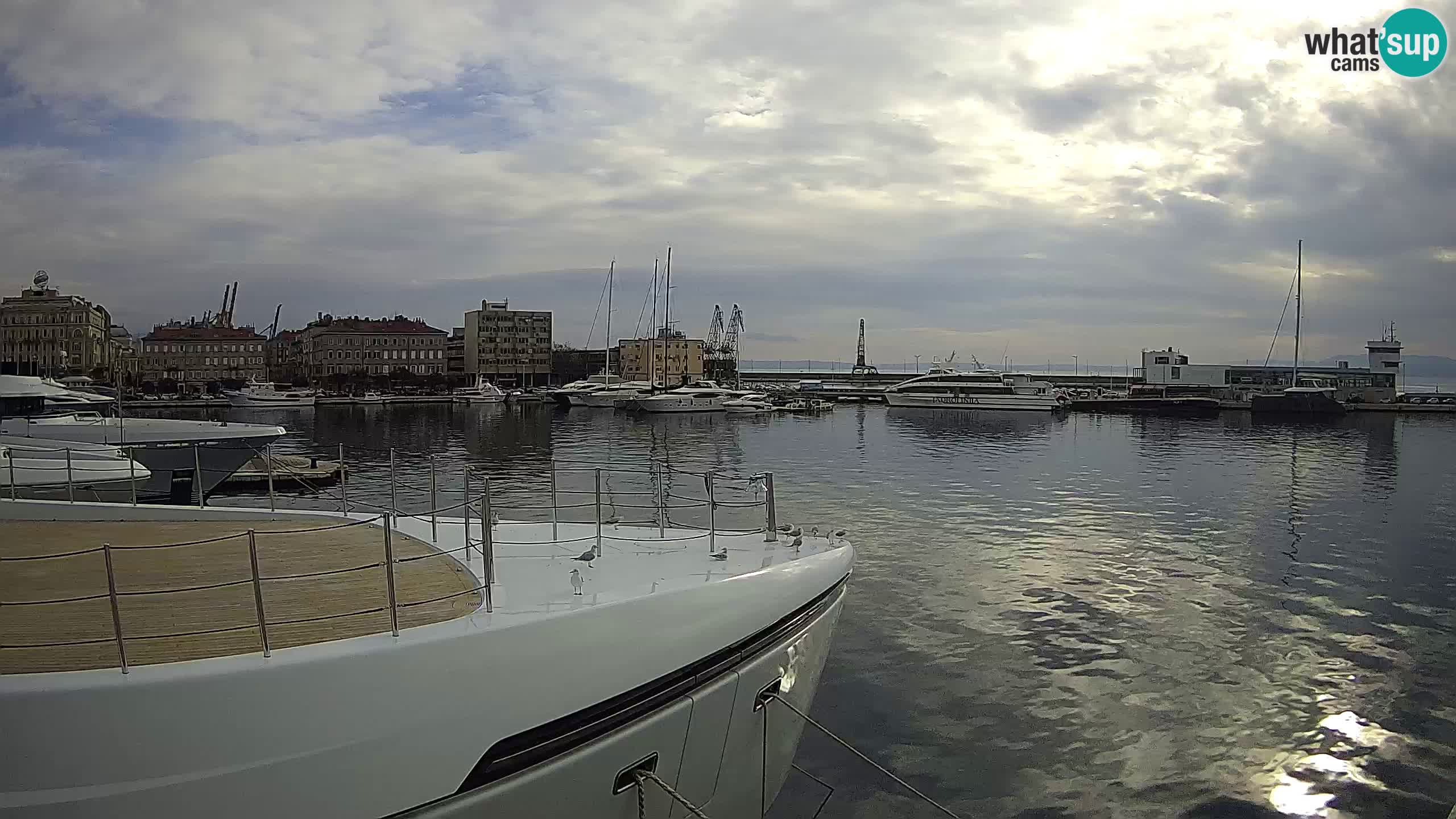 Botel Marina cámara web en vivo Rijeka
