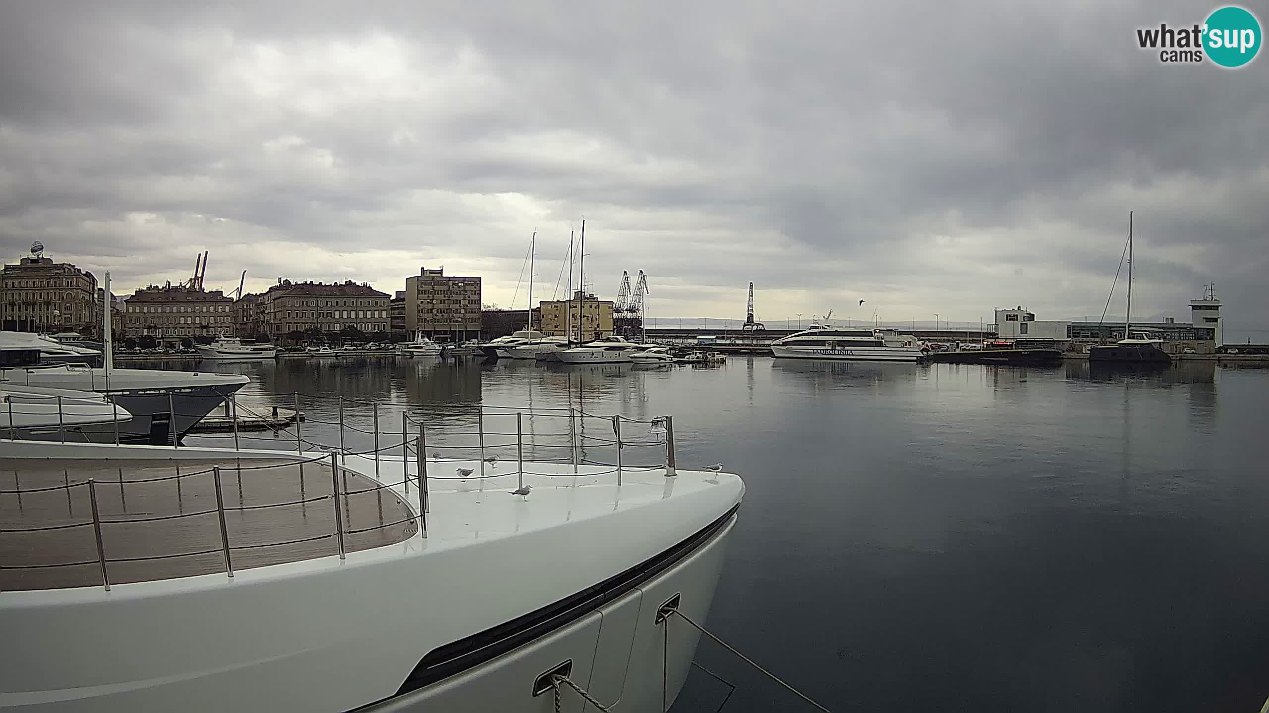 Botel Marina cámara web en vivo Rijeka