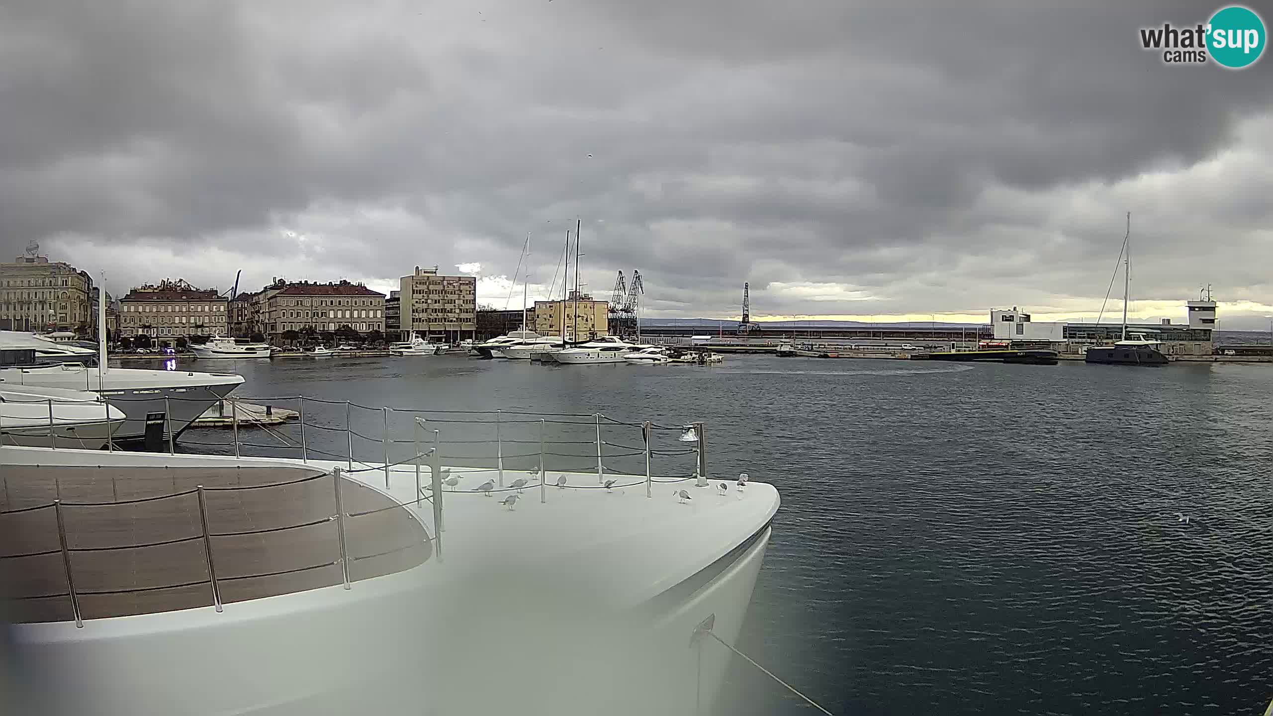 Rijeka – Botel Marina webcam en direct