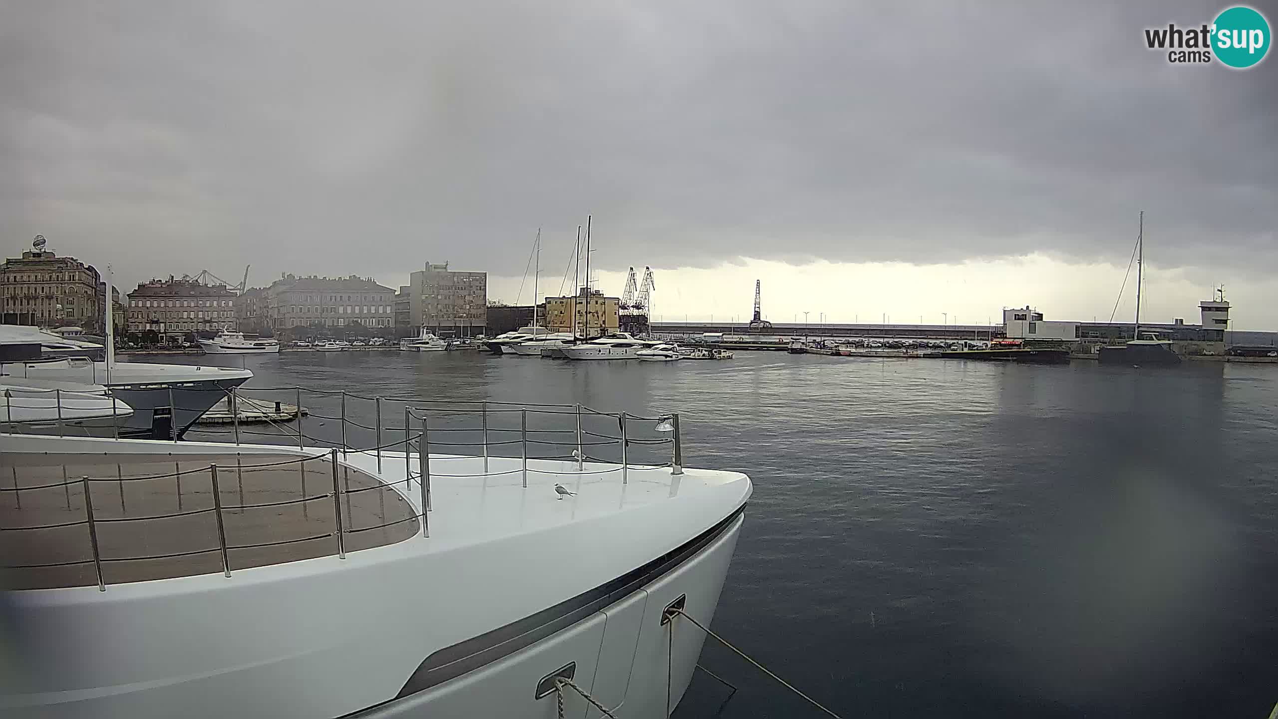 Botel Marina cámara web en vivo Rijeka