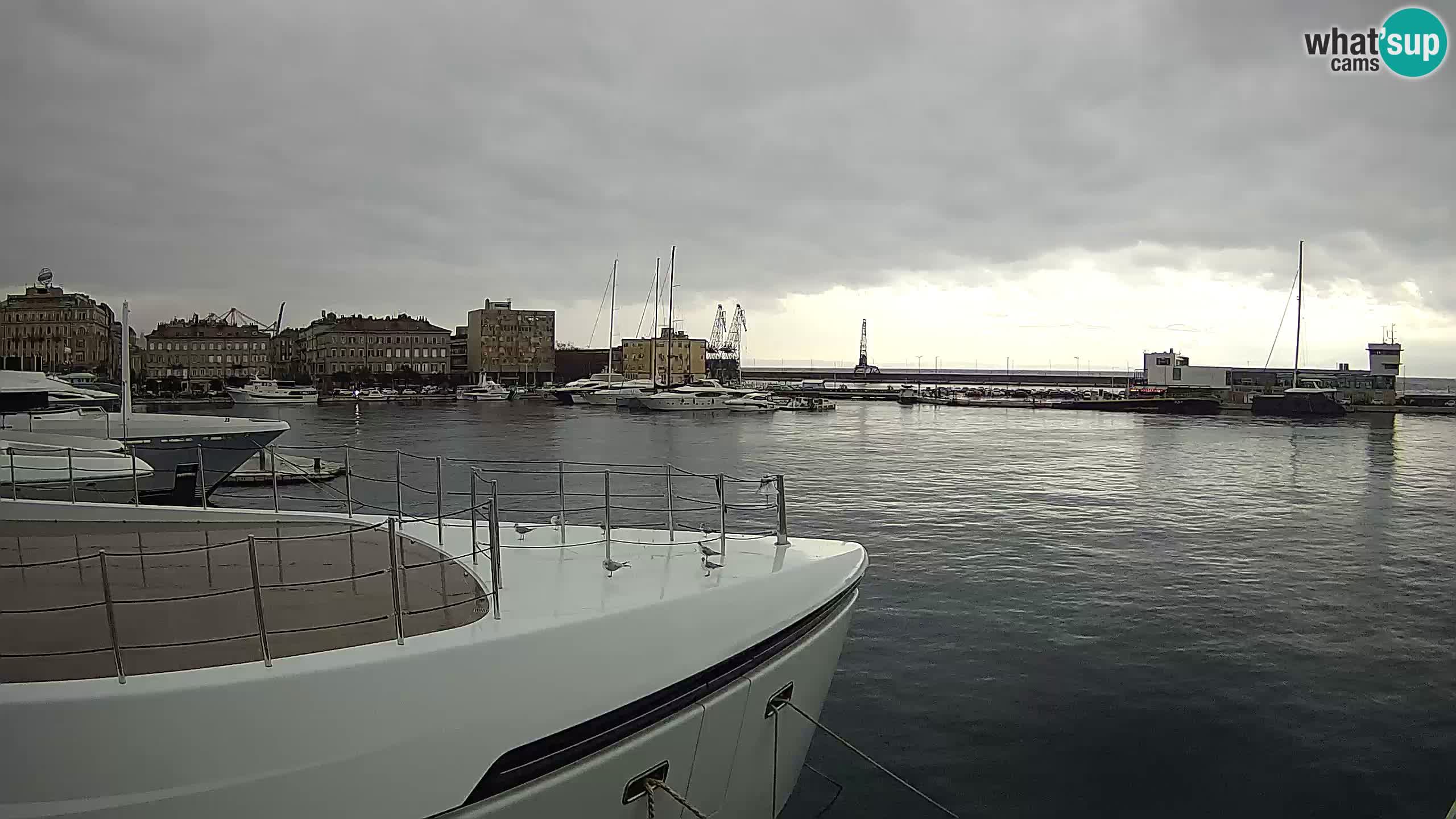 Rijeka – Botel Marina webcam en direct