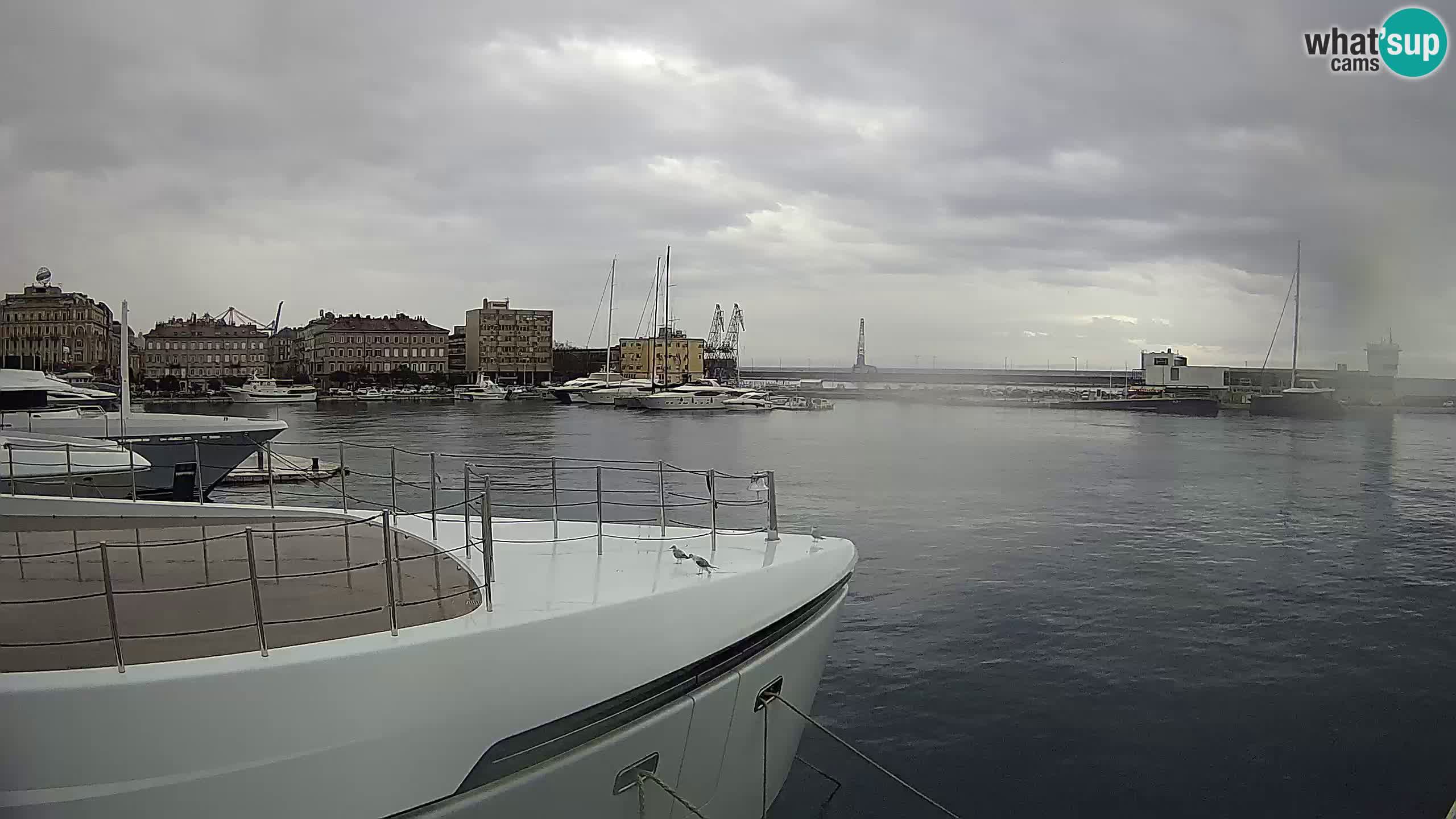 Rijeka – Botel Marina web kamera