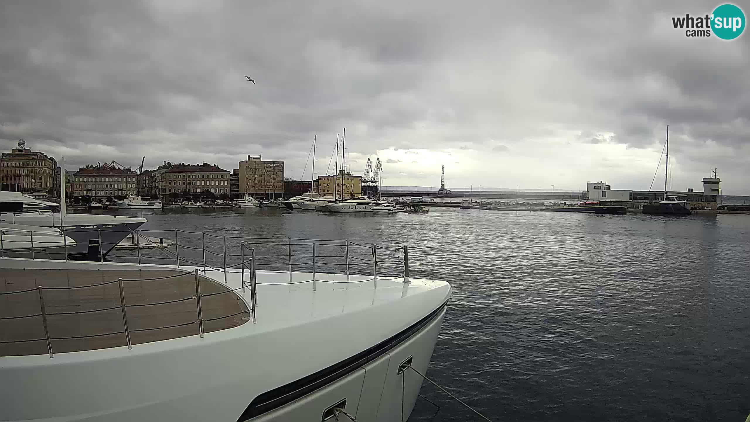 Reka – Botel Marina spletna kamera