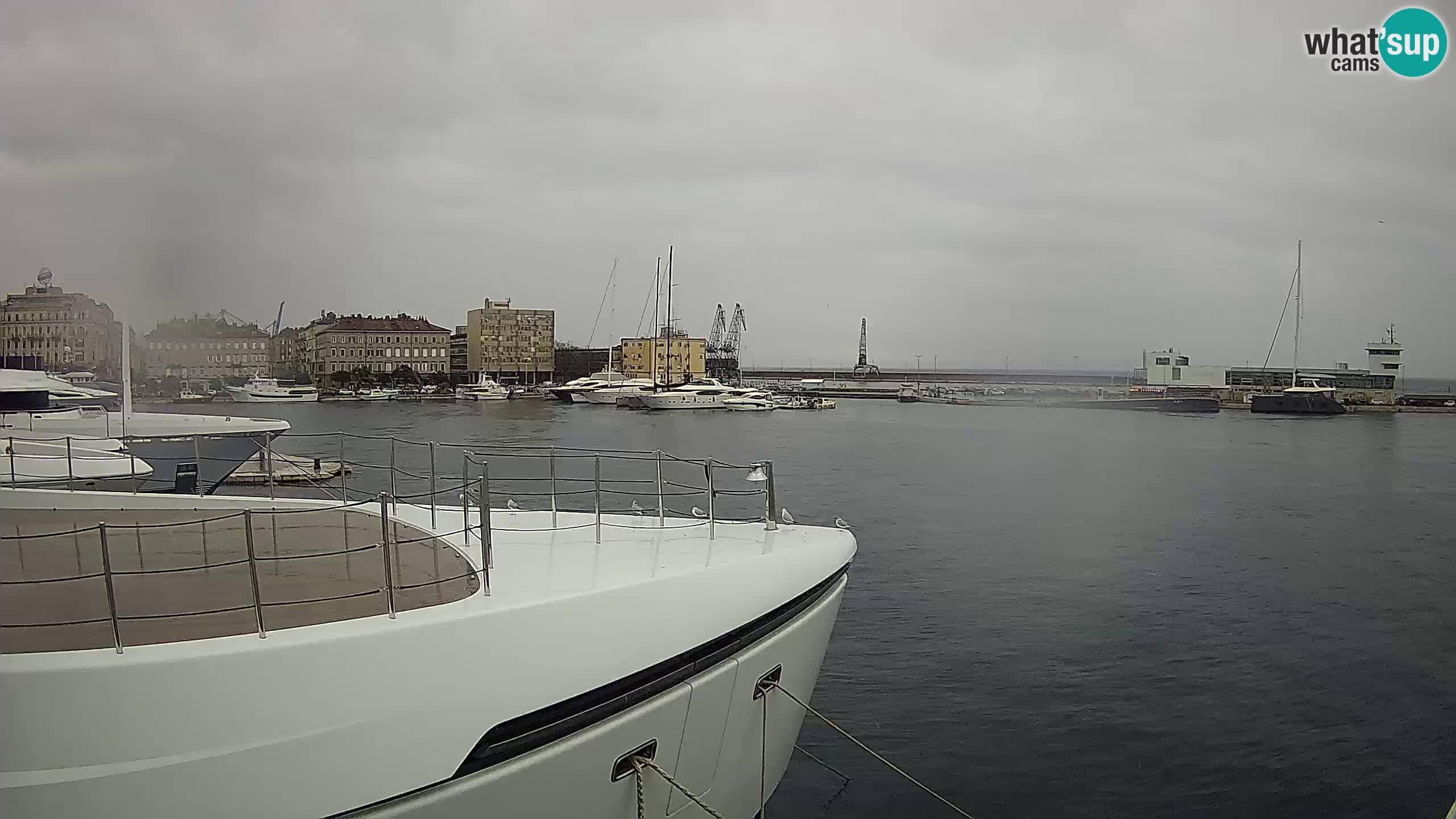 Rijeka – Botel Marina webcam en direct