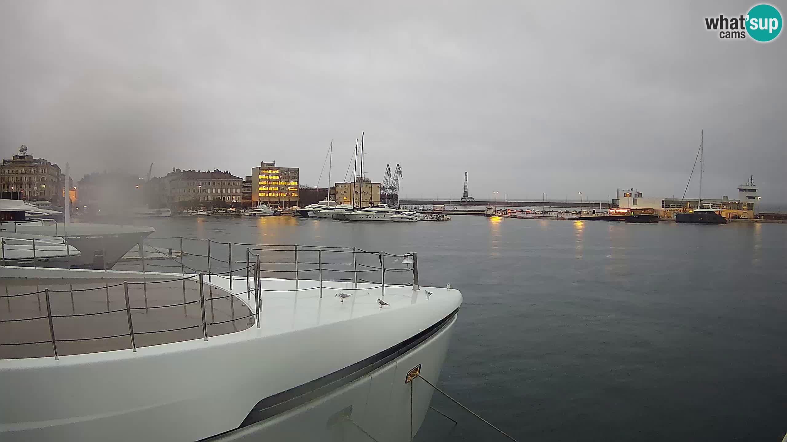 Rijeka – Botel Marina webcam en direct