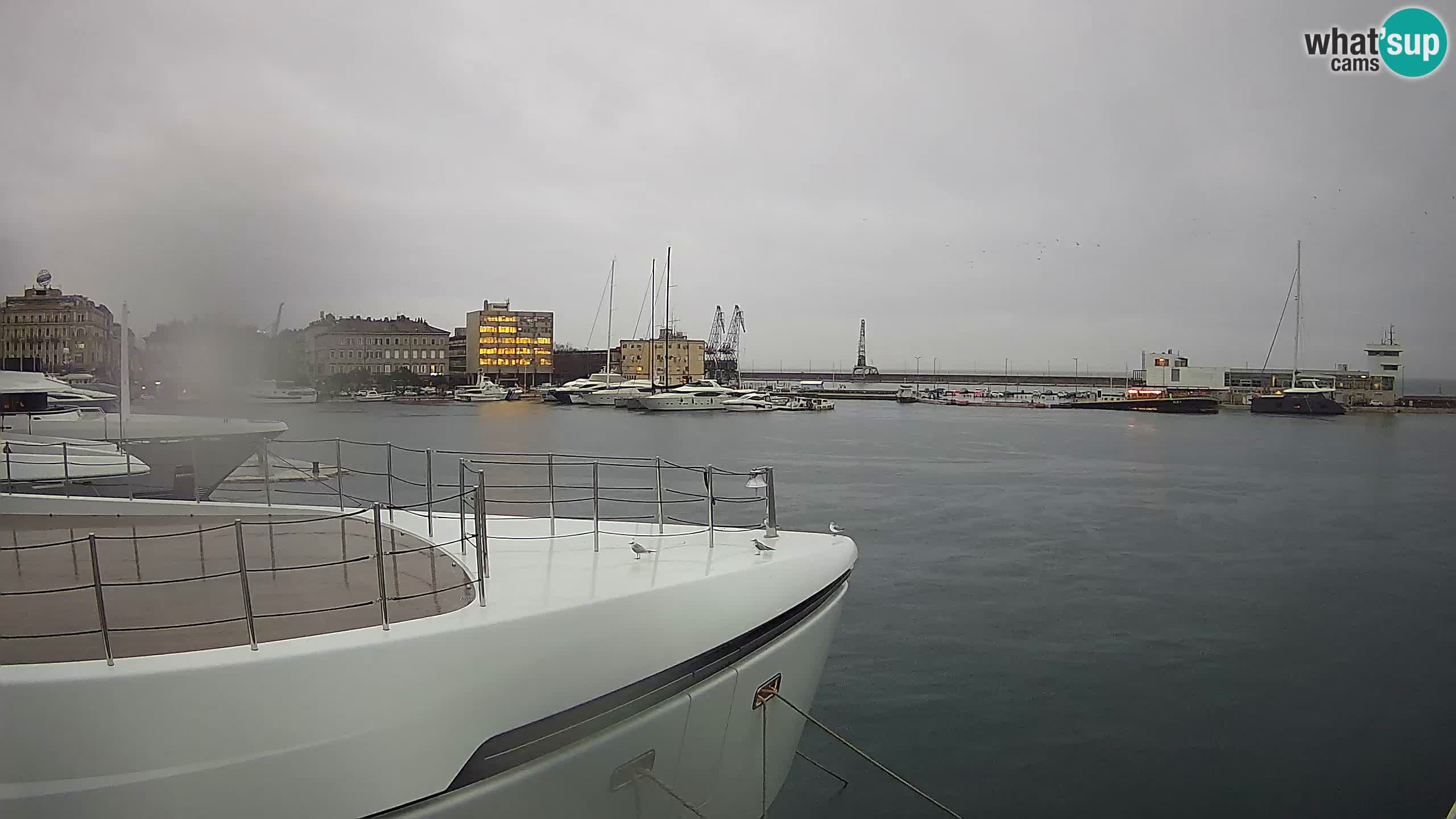 Botel Marina cámara web en vivo Rijeka