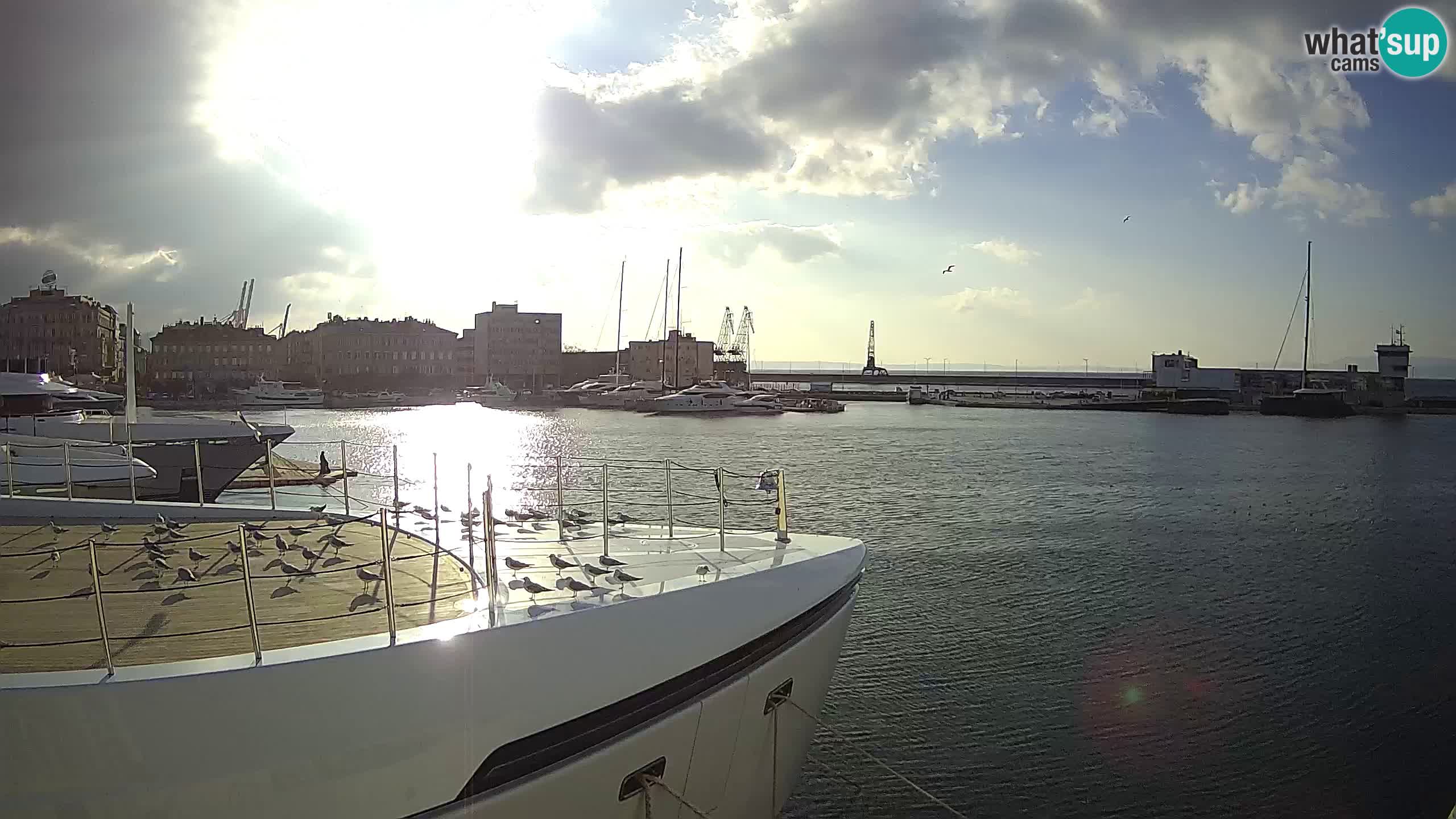 Rijeka – Botel Marina webcam en direct