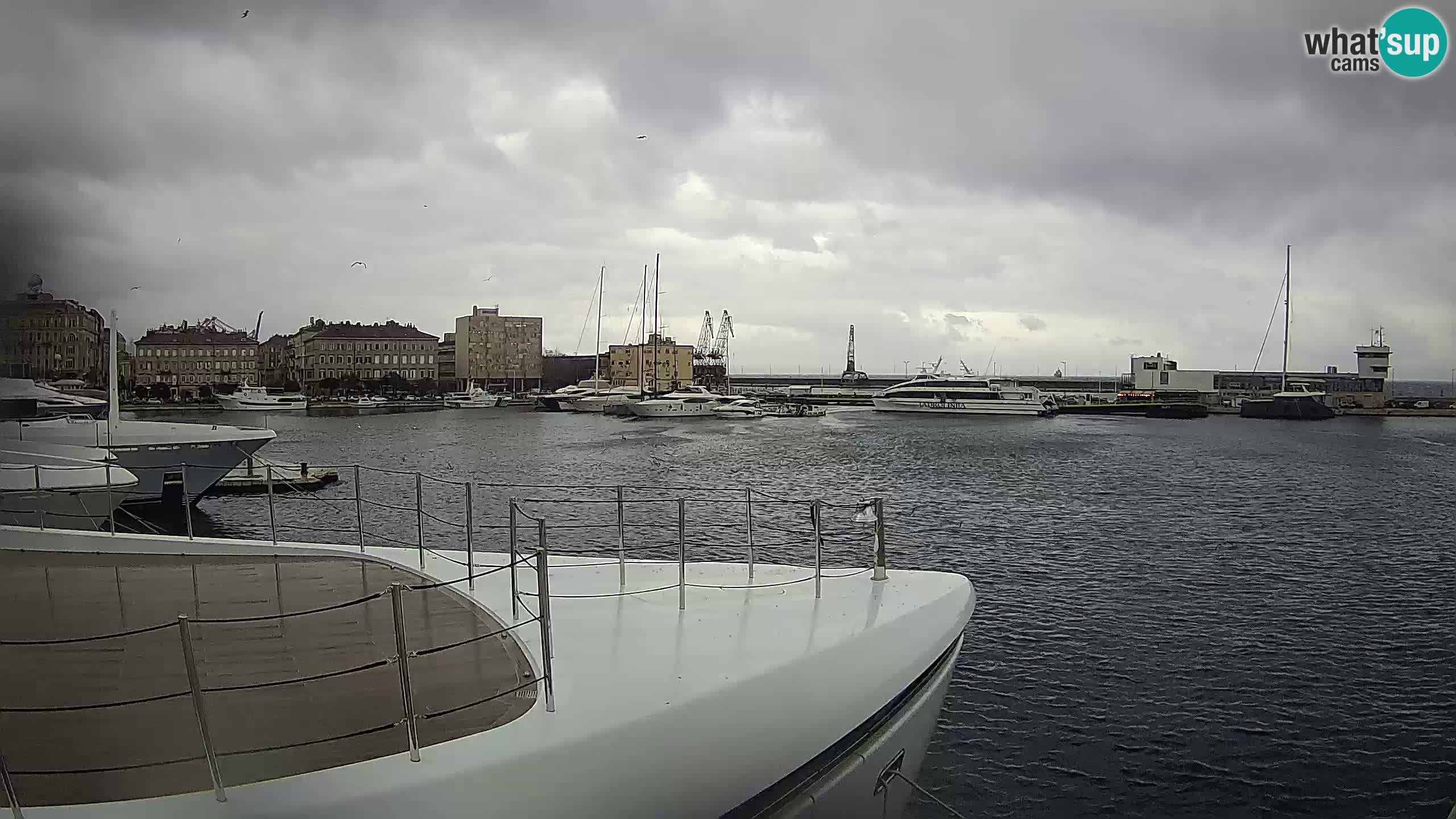 Rijeka – Botel Marina webcam en direct
