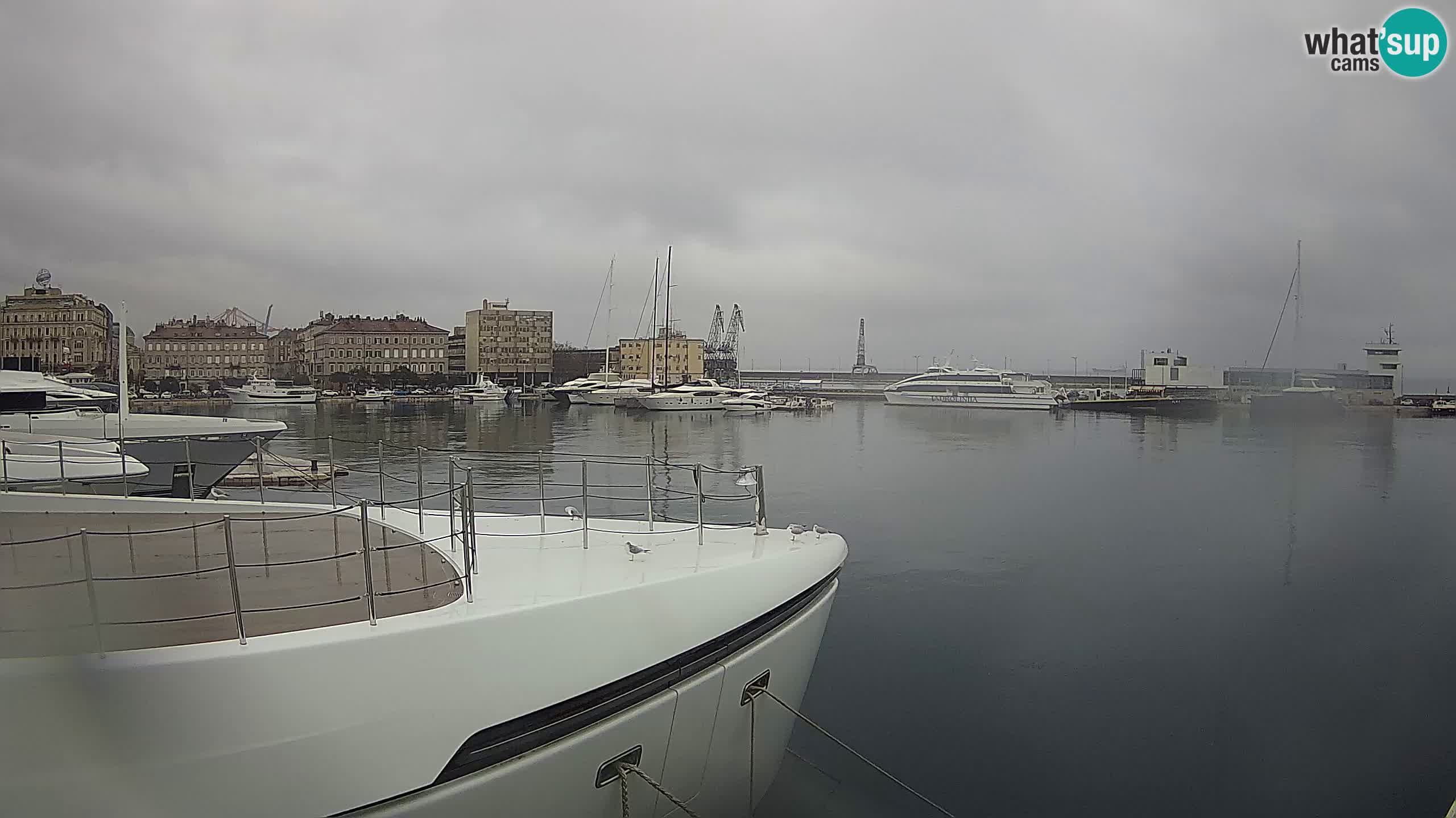 Rijeka – Botel Marina webcam en direct