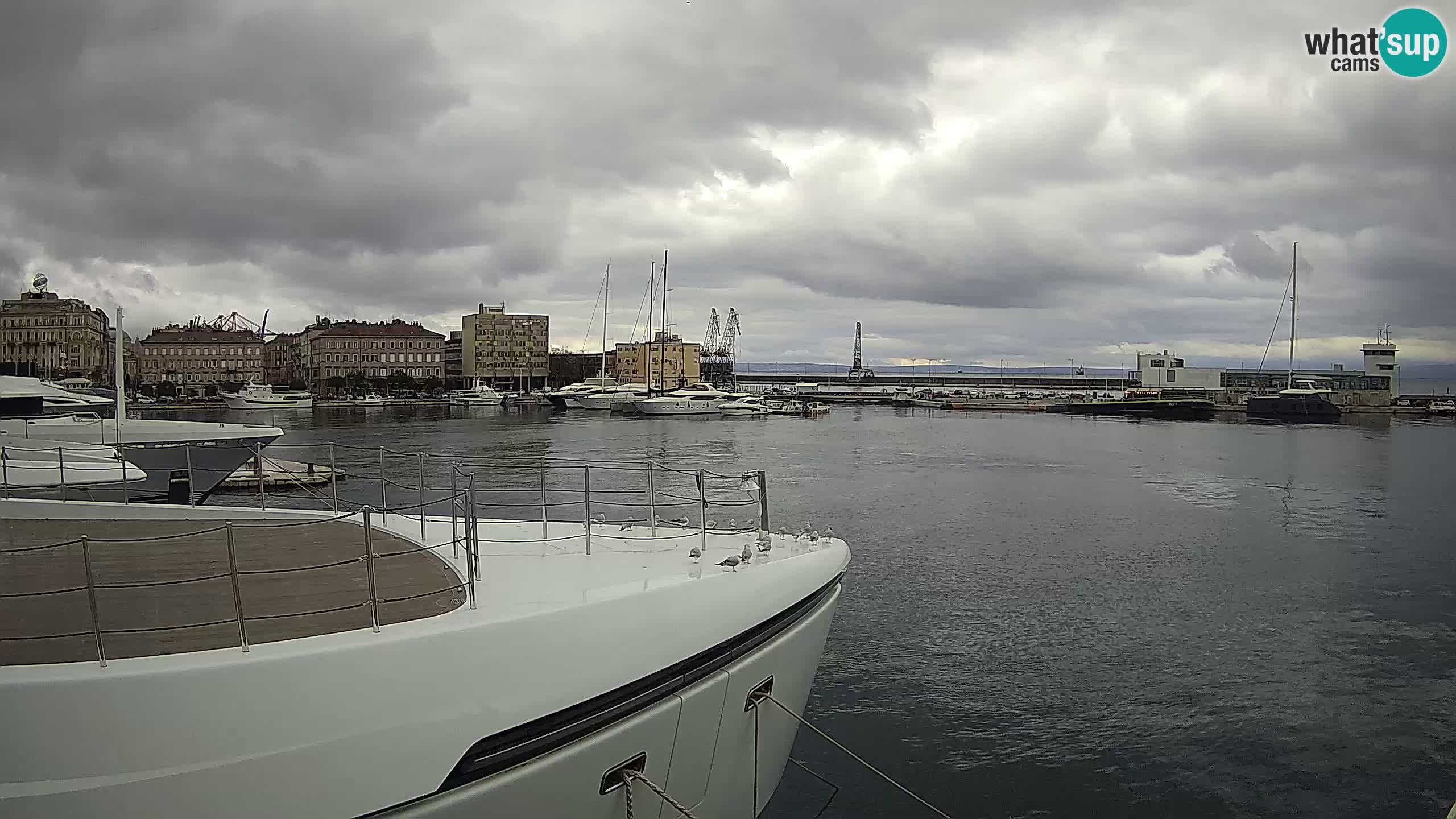 Botel Marina cámara web en vivo Rijeka
