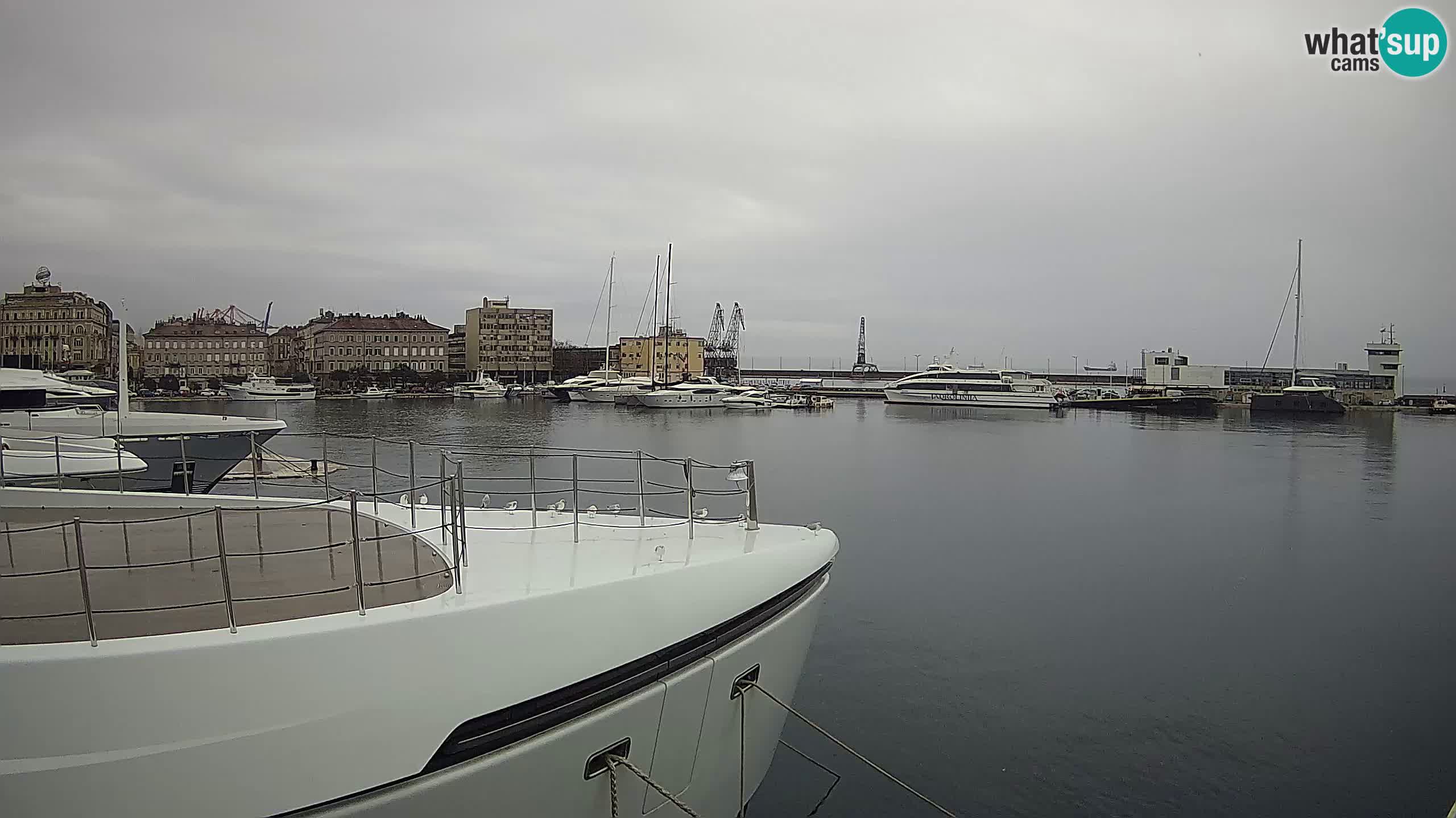Botel Marina cámara web en vivo Rijeka