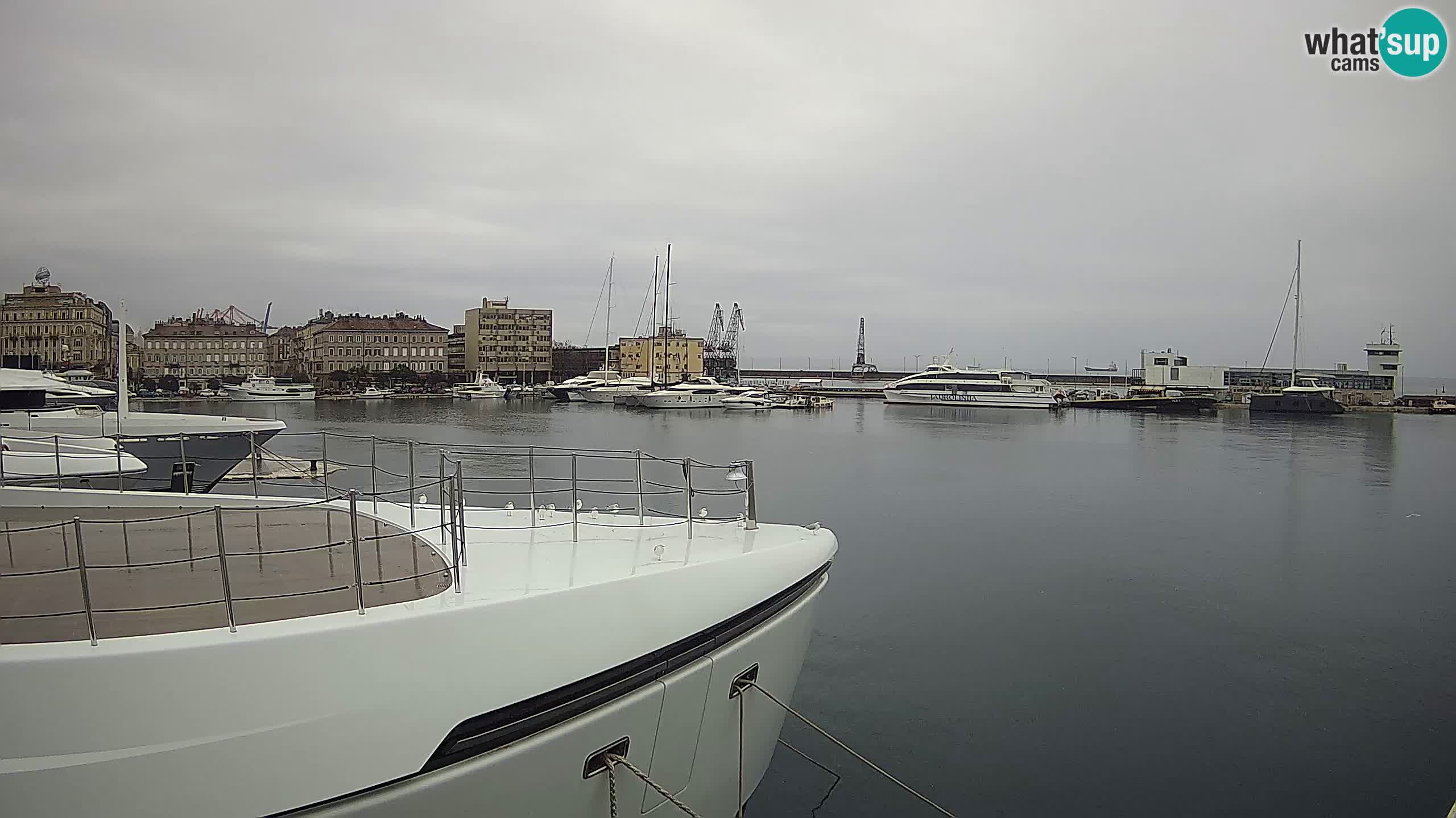 Botel Marina cámara web en vivo Rijeka
