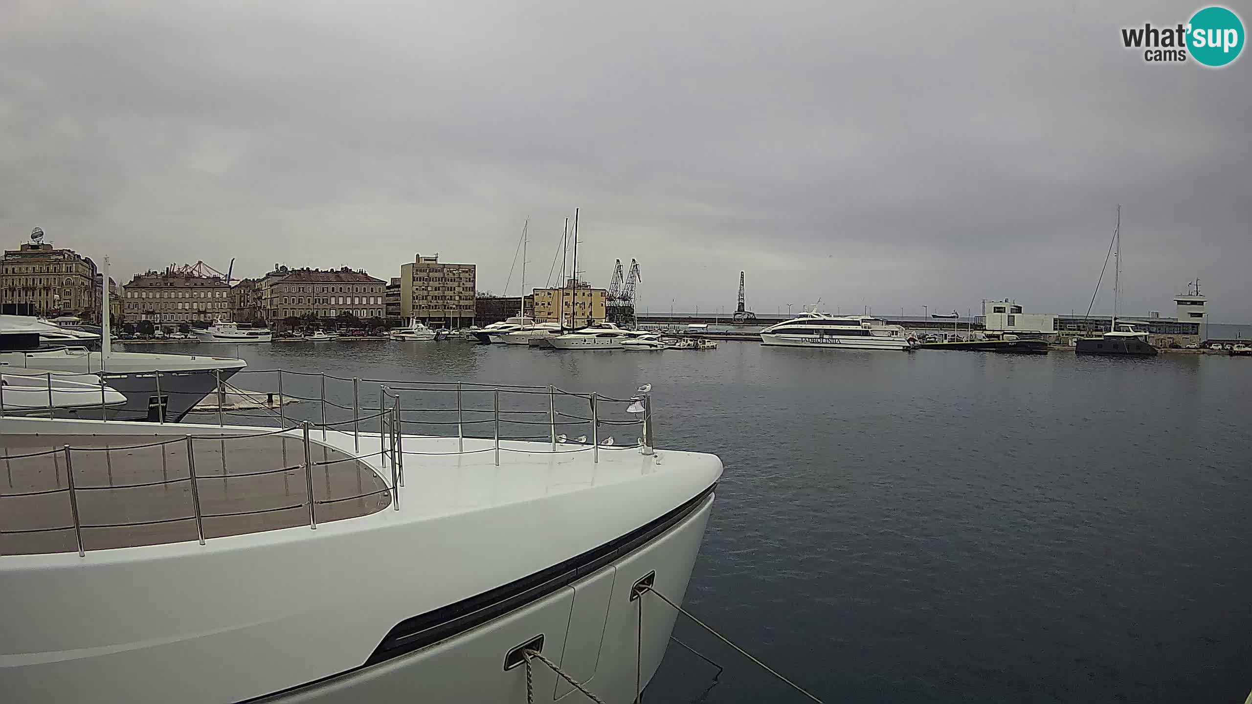 Botel Marina cámara web en vivo Rijeka