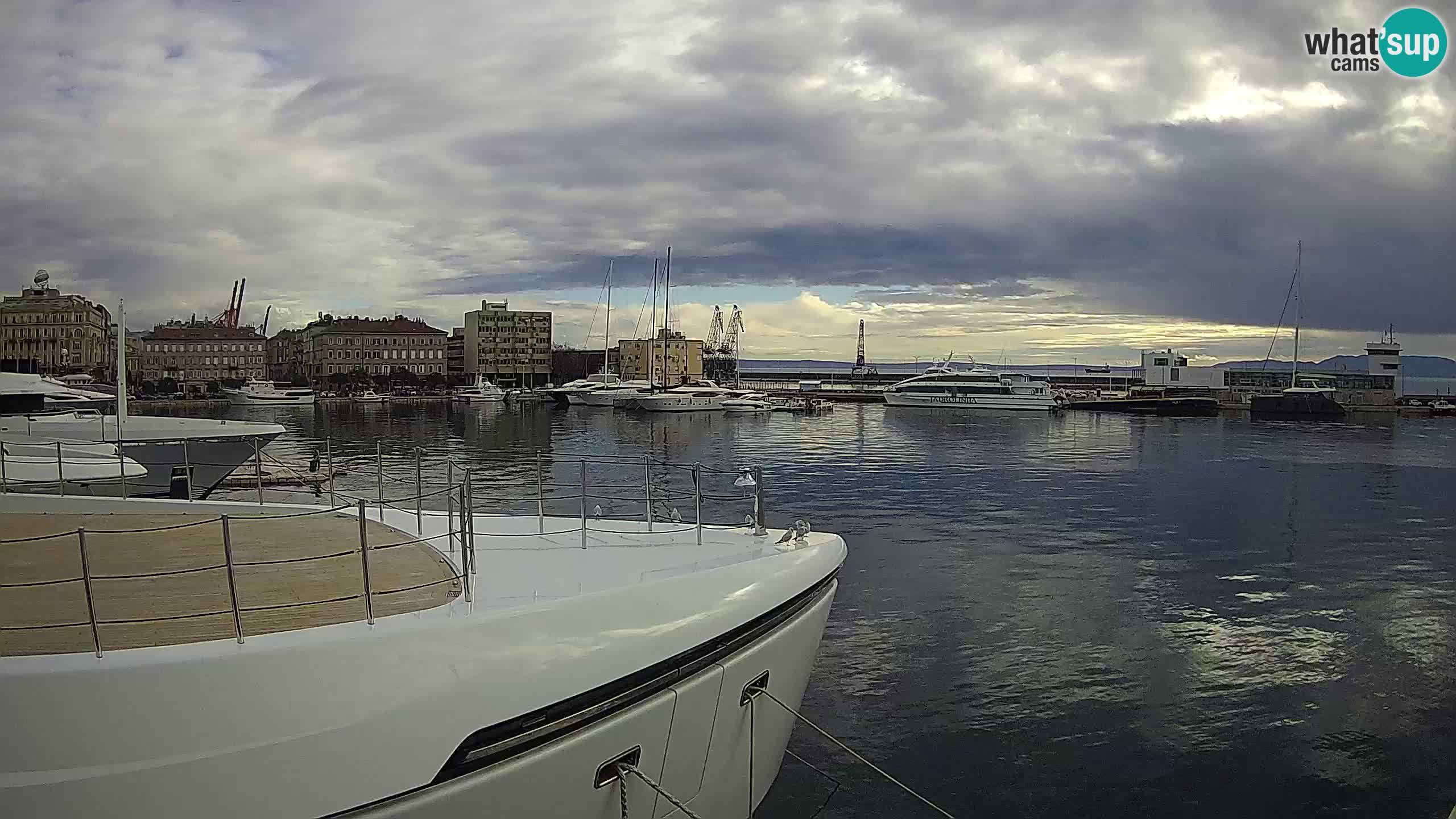 Botel Marina cámara web en vivo Rijeka
