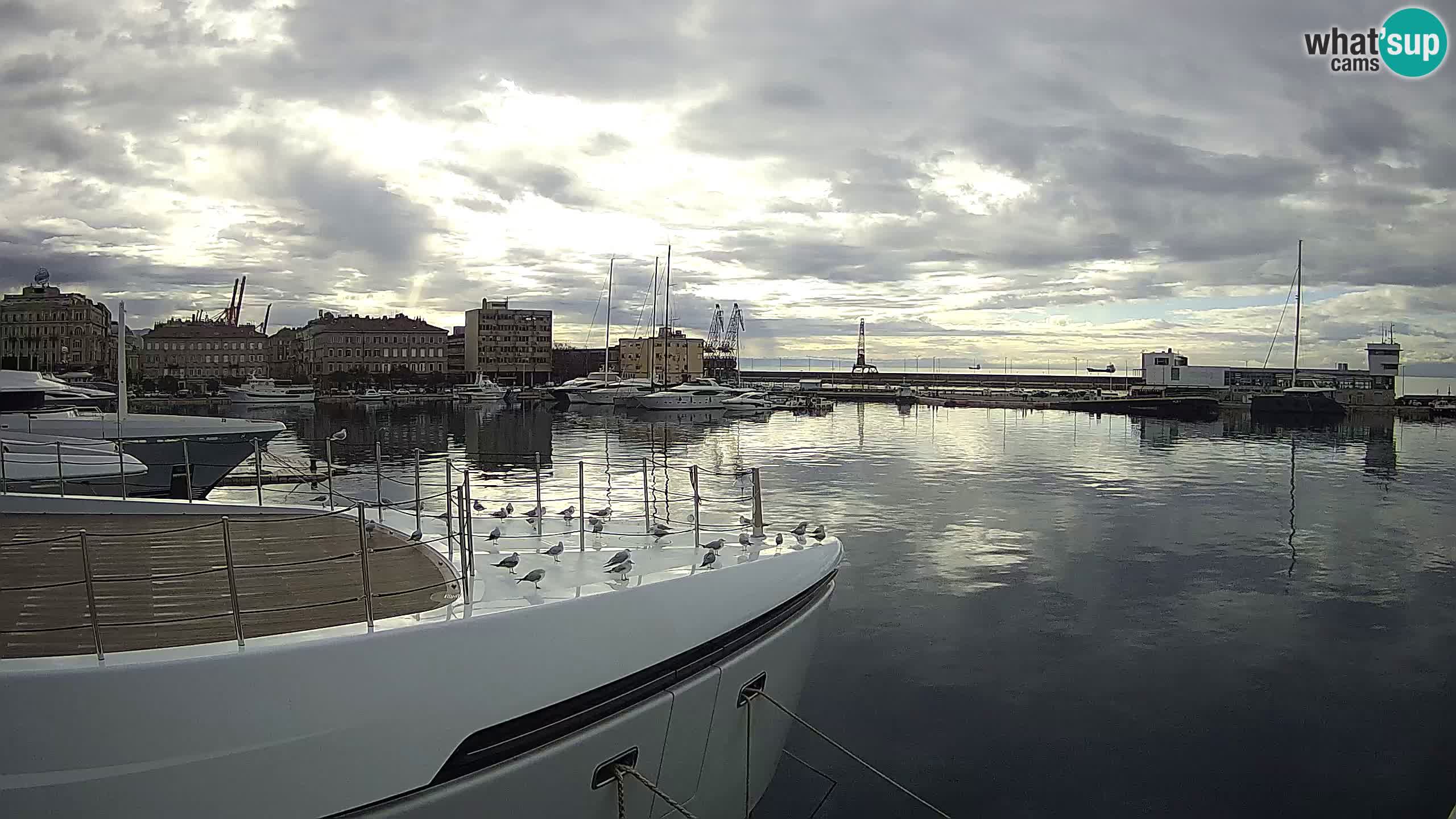 Botel Marina cámara web en vivo Rijeka