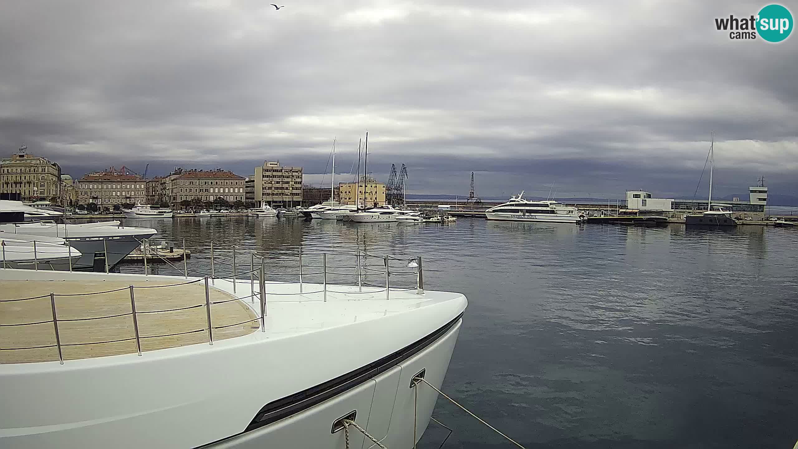 Reka – Botel Marina spletna kamera