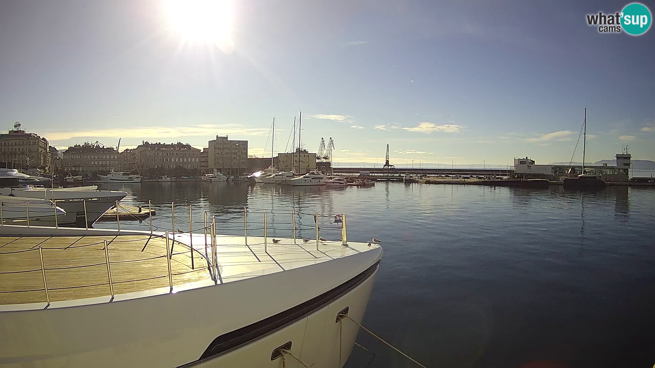 Botel Marina cámara web en vivo Rijeka