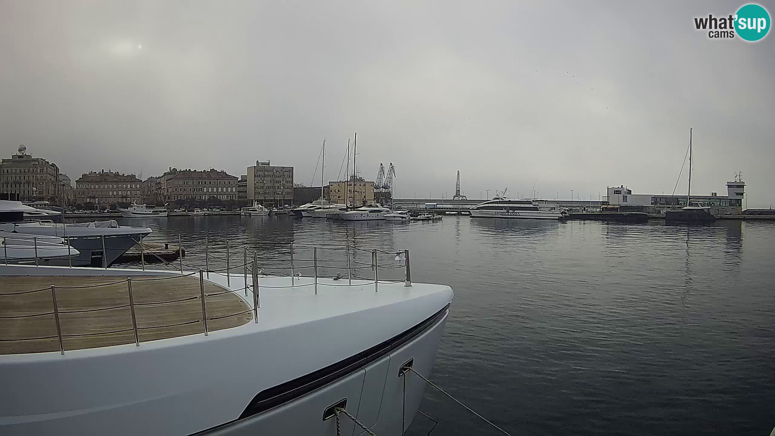 Rijeka – Botel Marina webcam en direct