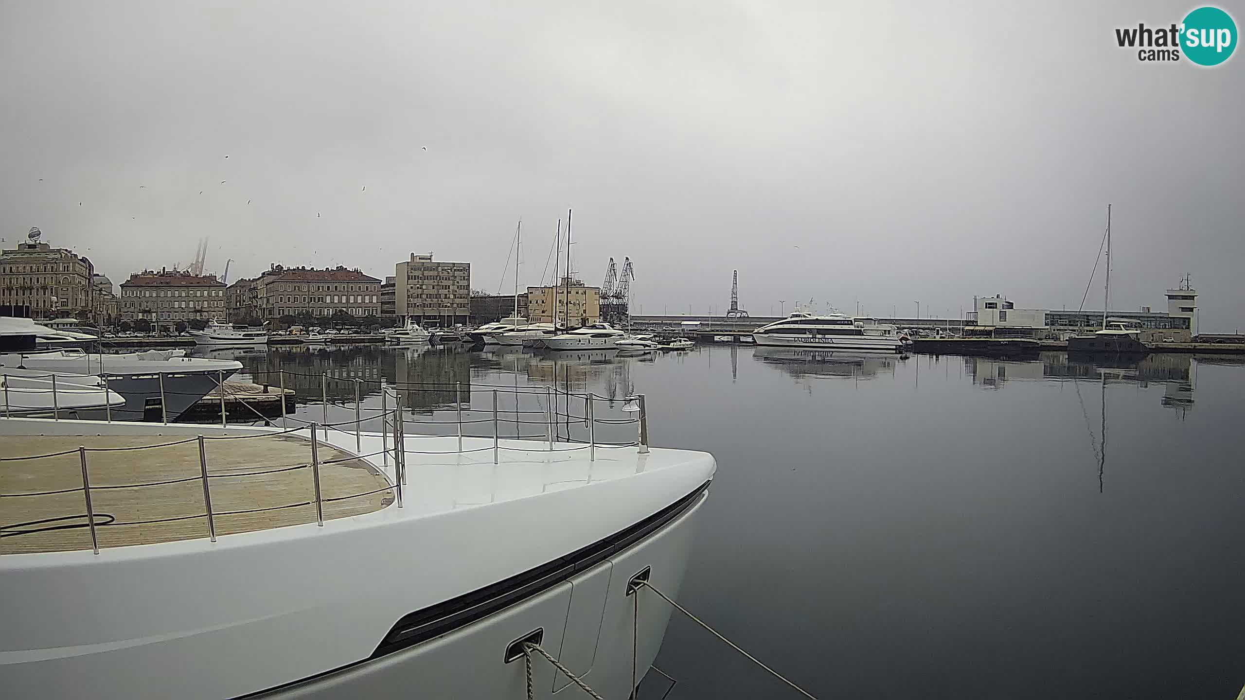 Botel Marina cámara web en vivo Rijeka