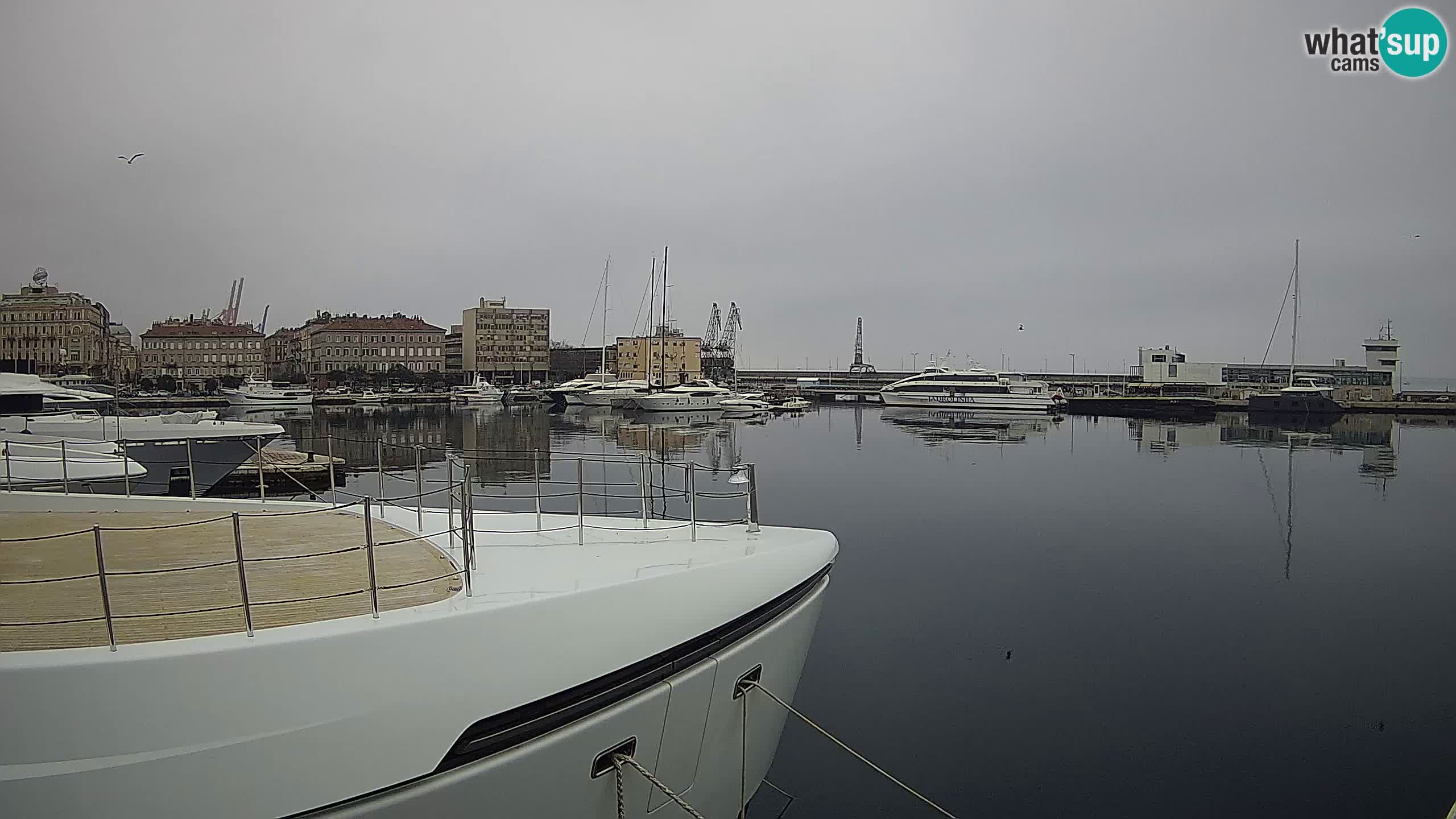 Reka – Botel Marina spletna kamera