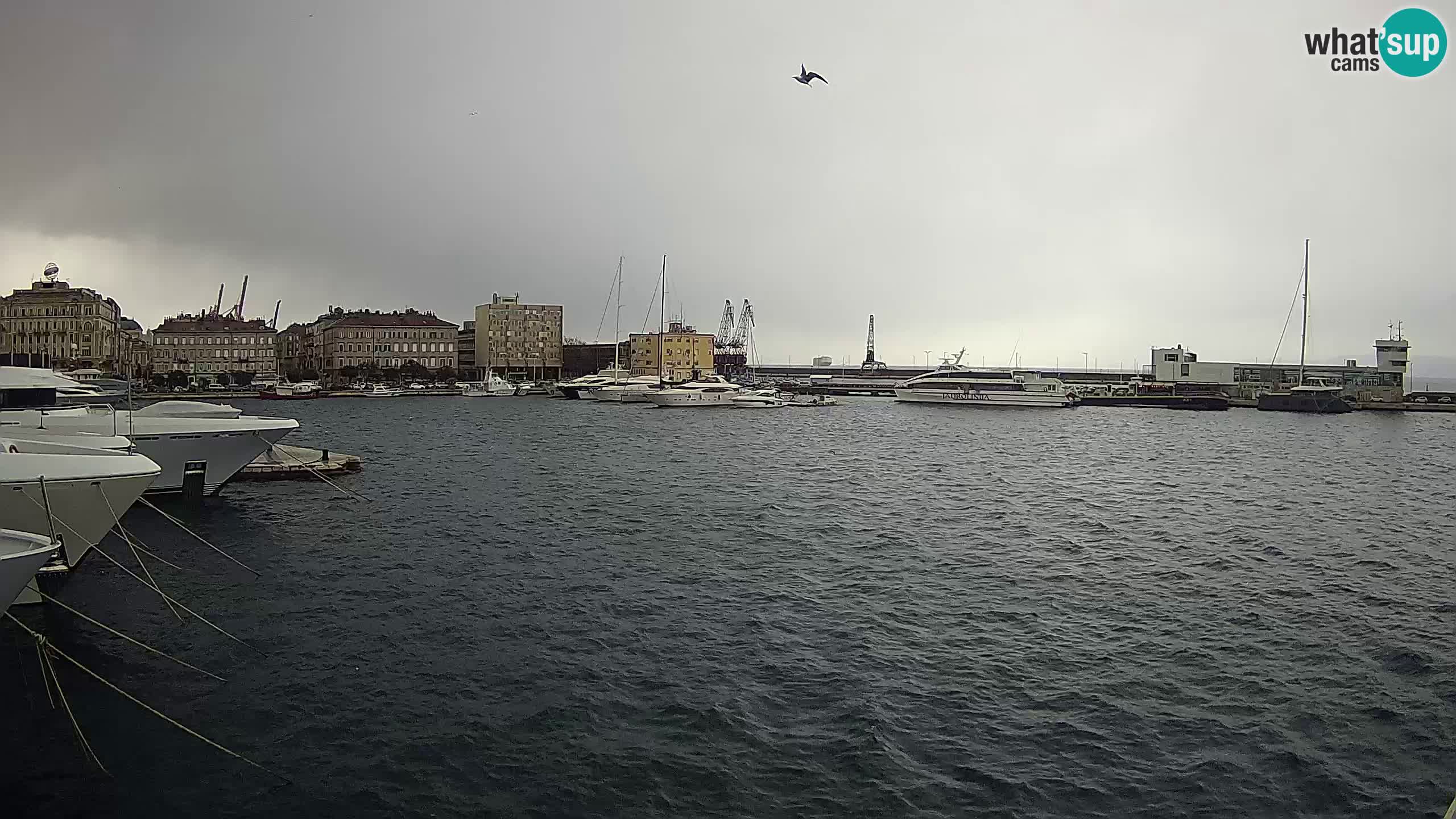 Reka – Botel Marina spletna kamera