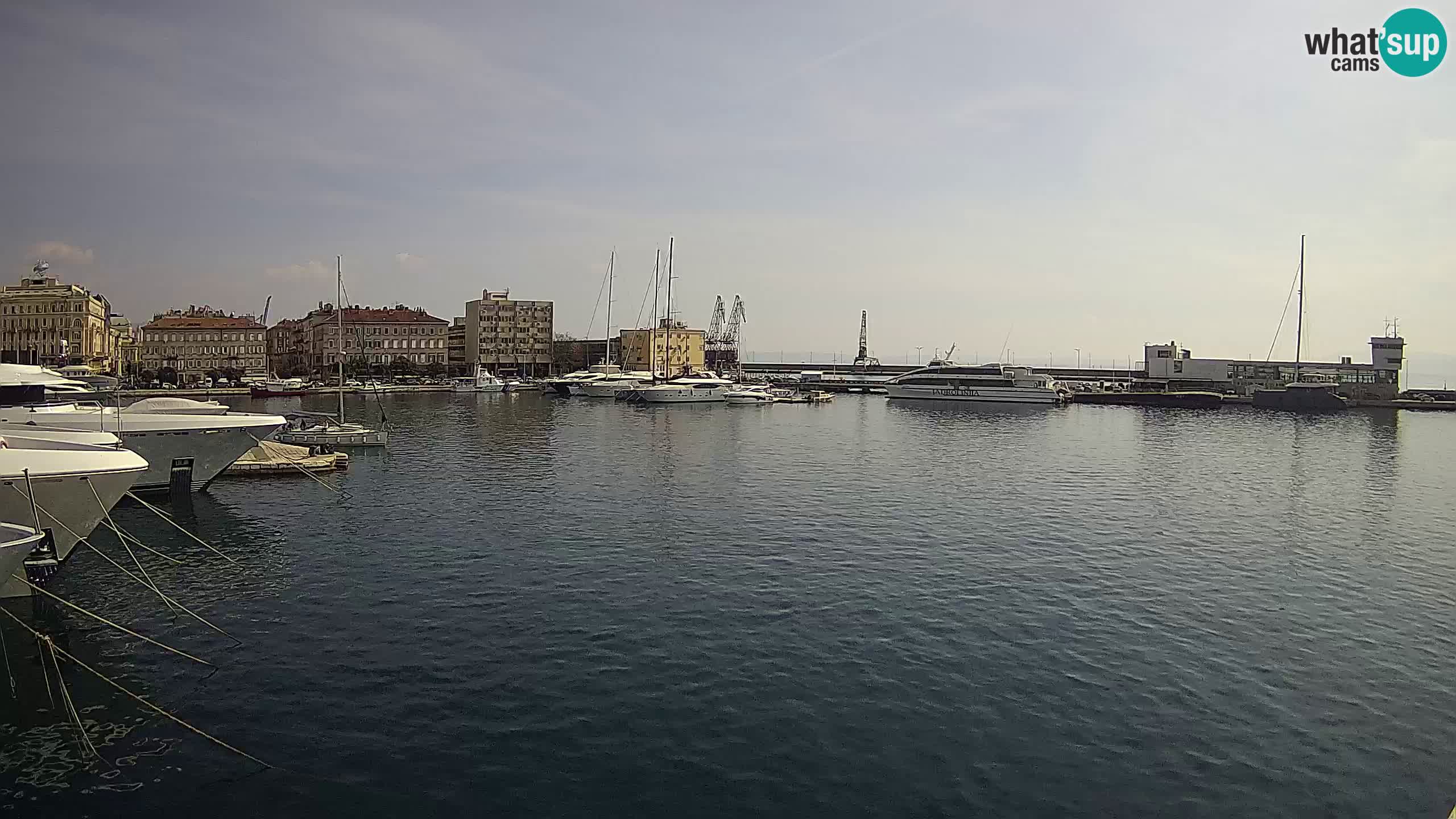 Rijeka – Botel Marina webcam en direct