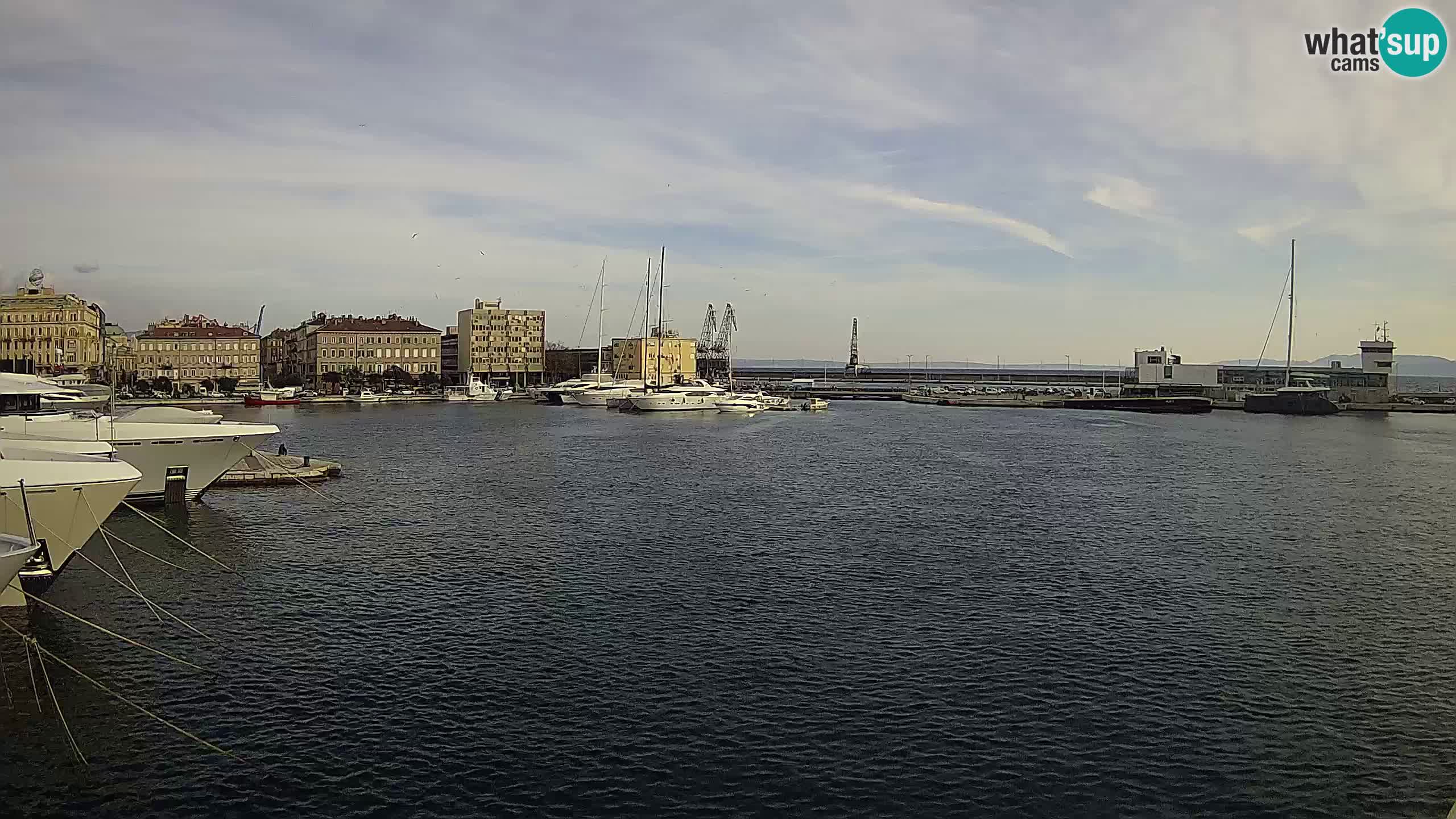 Rijeka – Botel Marina webcam en direct
