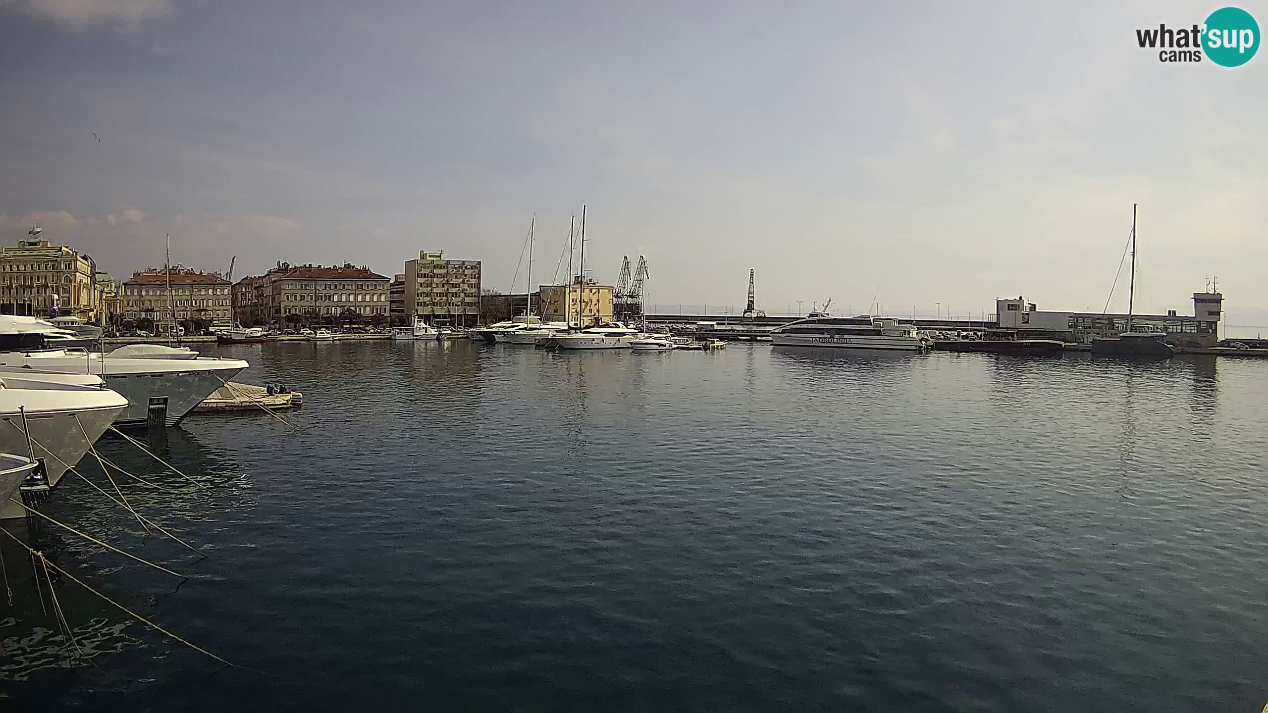 Rijeka – Botel Marina webcam en direct