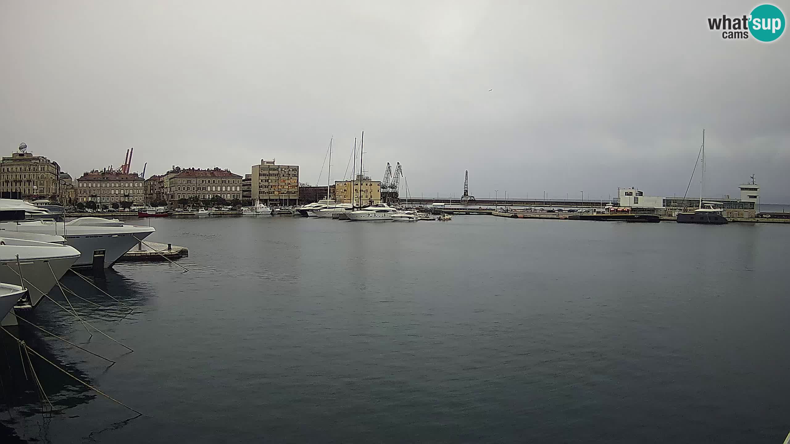 Botel Marina cámara web en vivo Rijeka