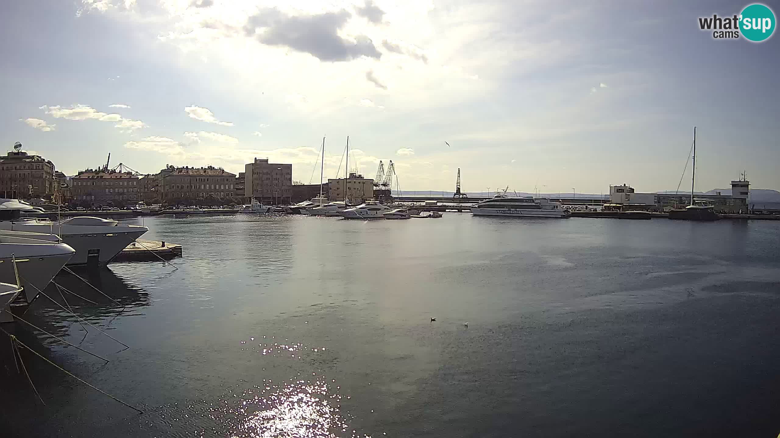 Rijeka – Botel Marina web kamera