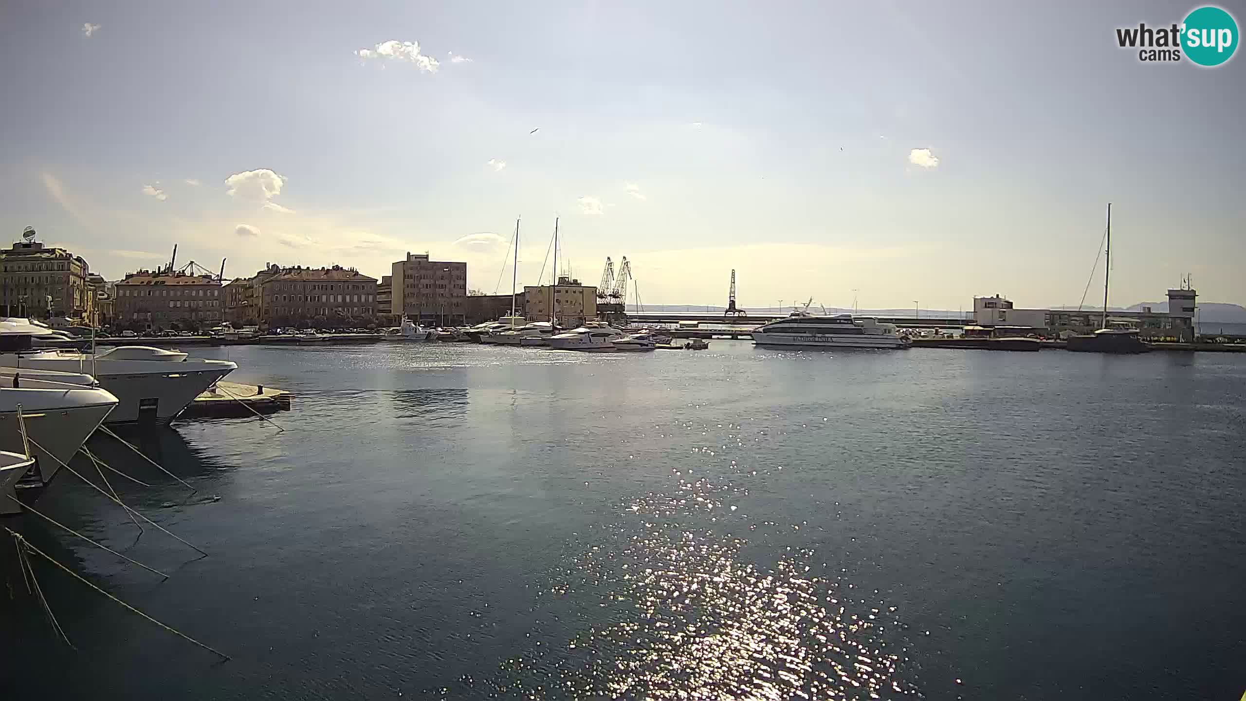 Rijeka – Botel Marina webcam en direct