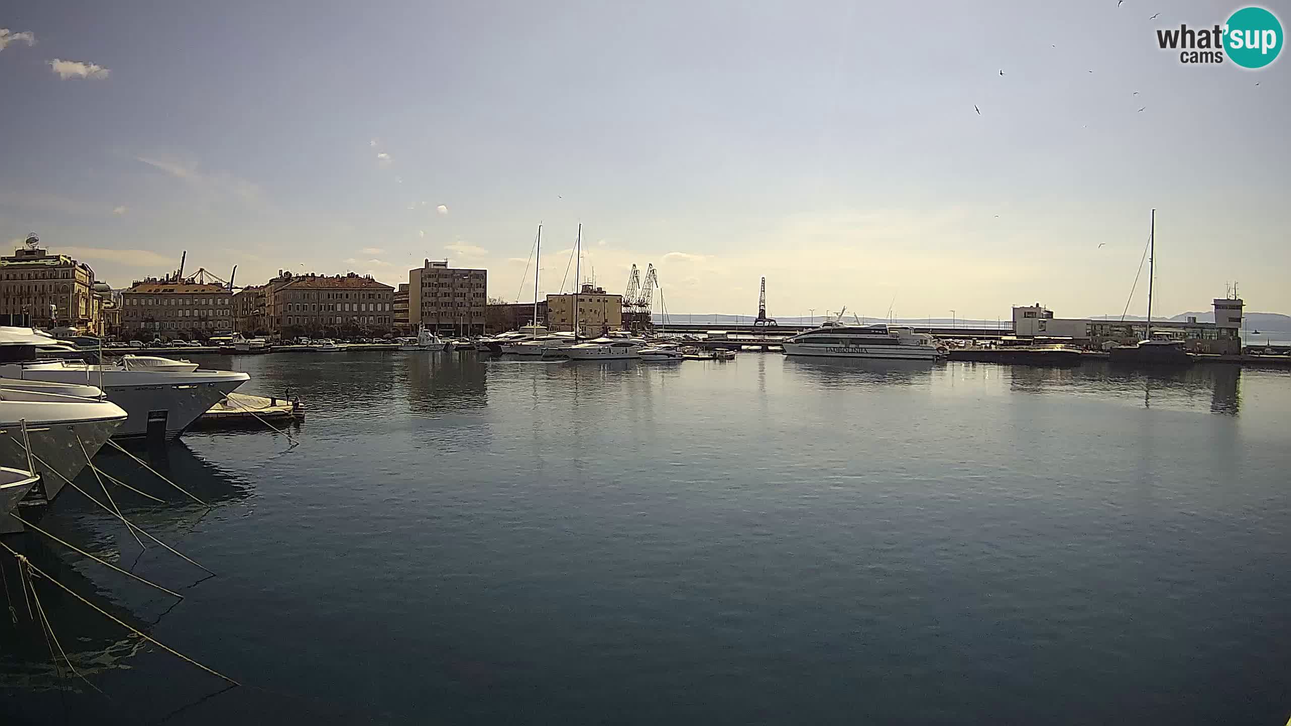 Reka – Botel Marina spletna kamera