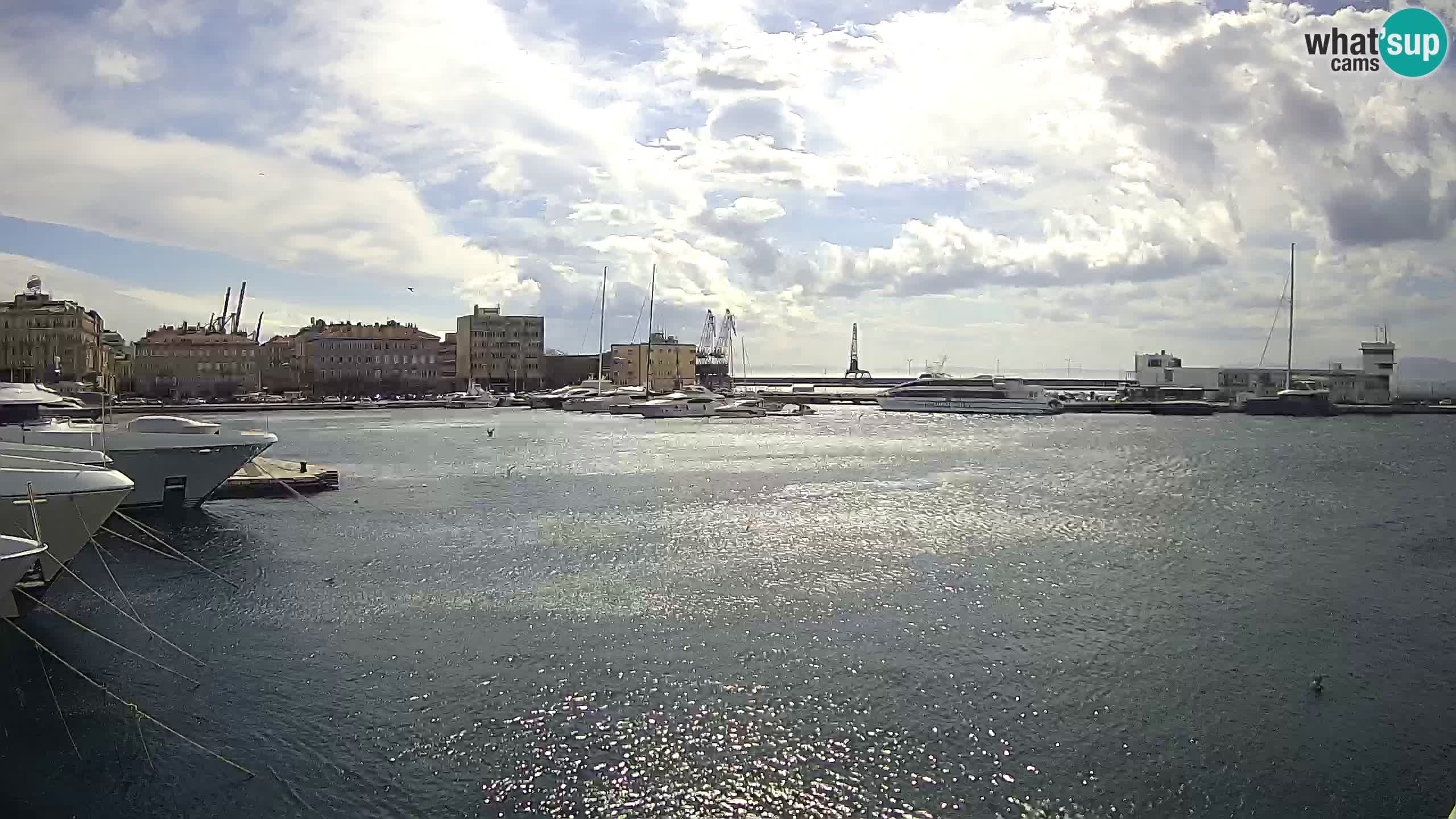 Botel Marina cámara web en vivo Rijeka