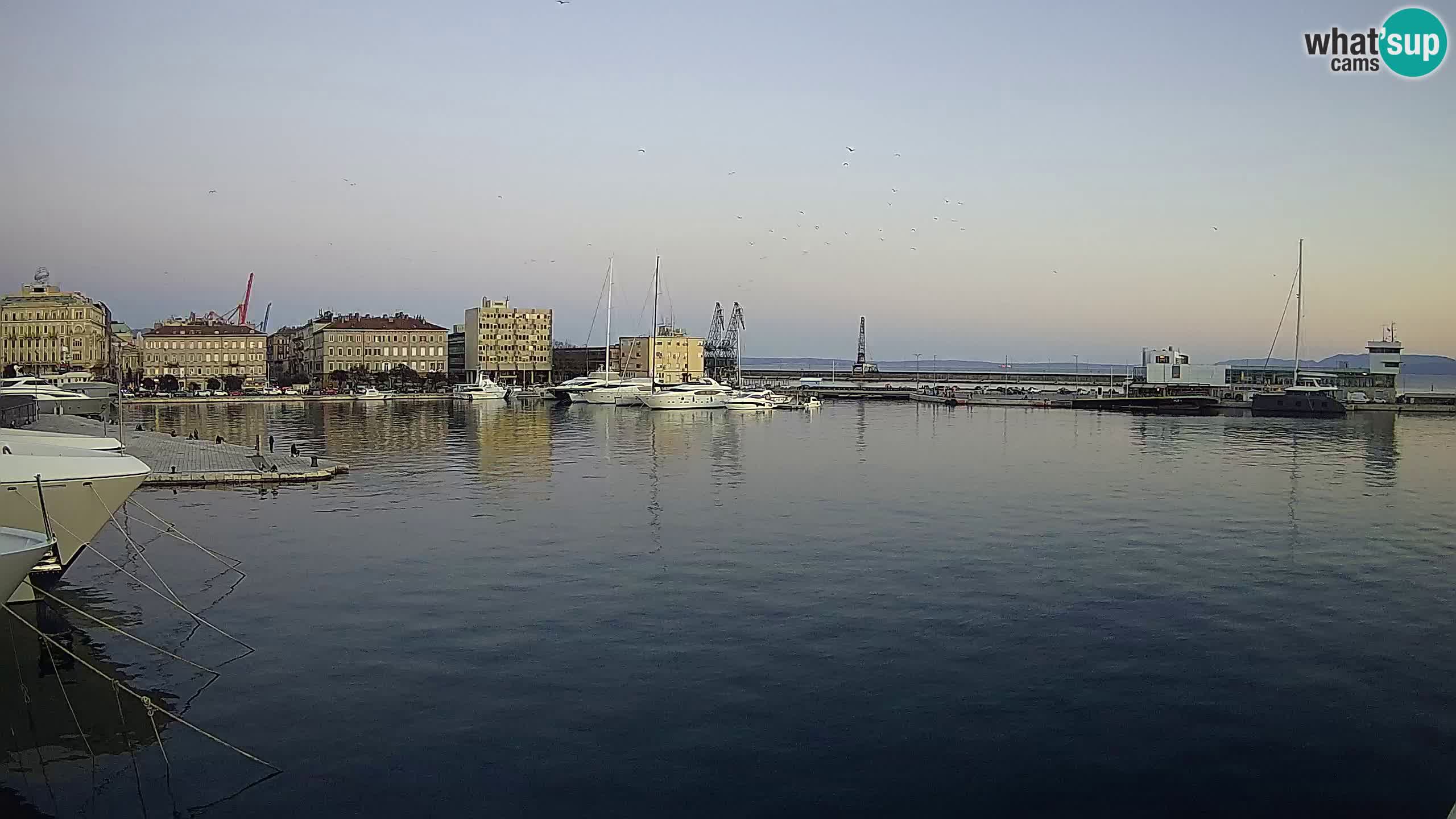 Rijeka – Botel Marina web kamera