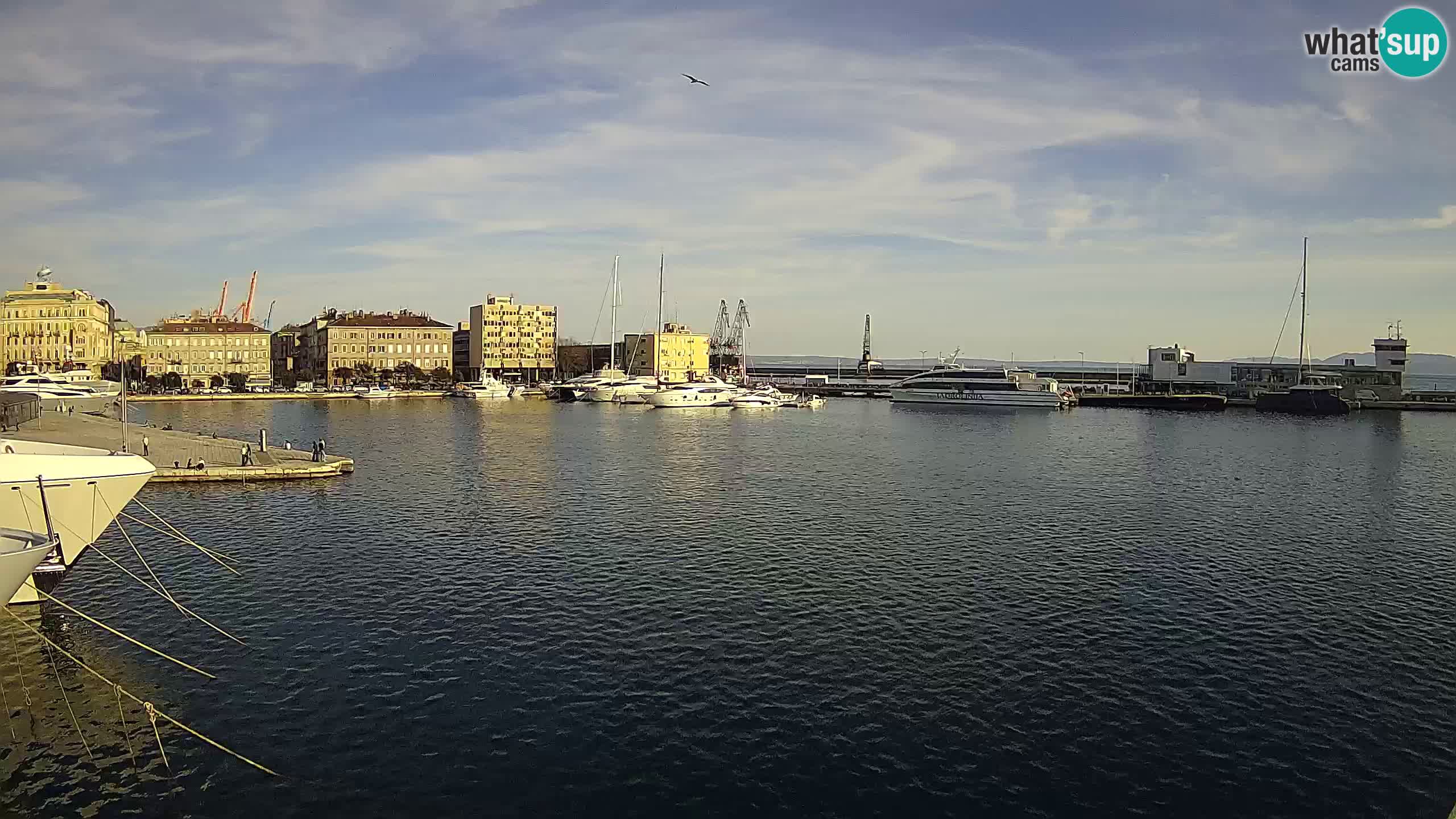 Botel Marina cámara web en vivo Rijeka