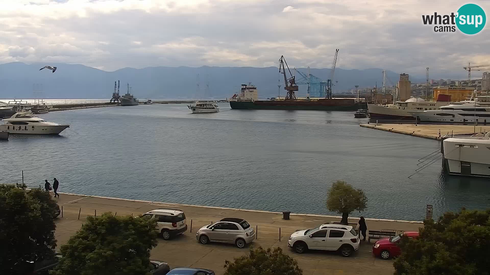 Die Riva und Marina in Rijeka – Live Webcam Kroatien