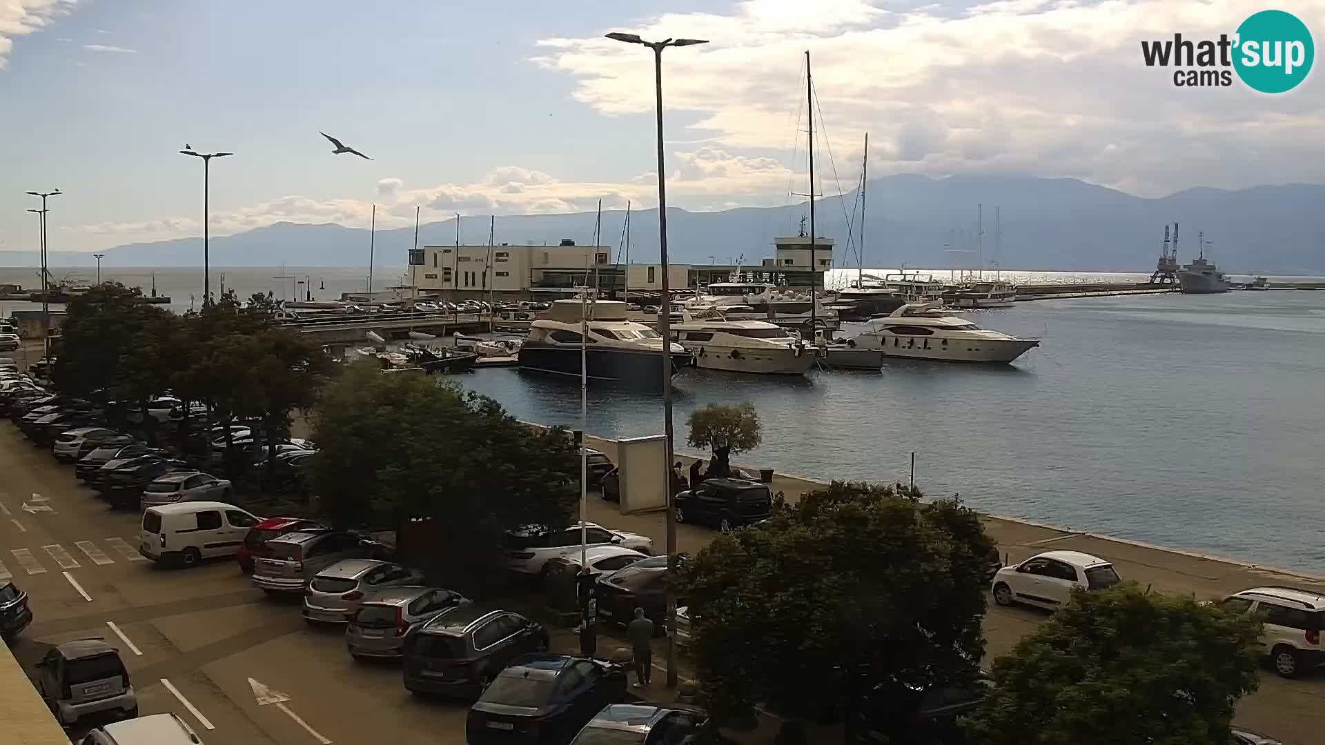 The Riva and Marina in Rijeka  – Live Webcam Croatia