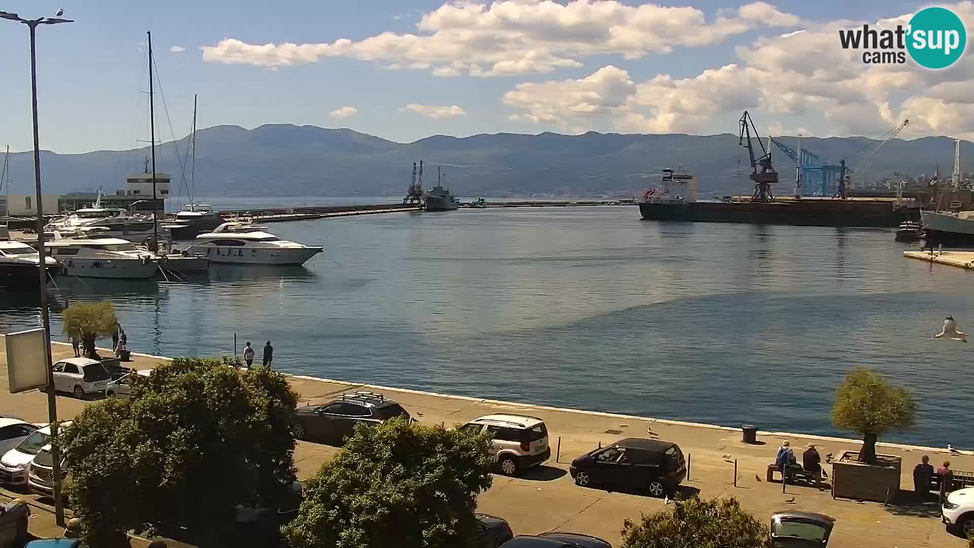 The Riva and Marina in Rijeka  – Live Webcam Croatia