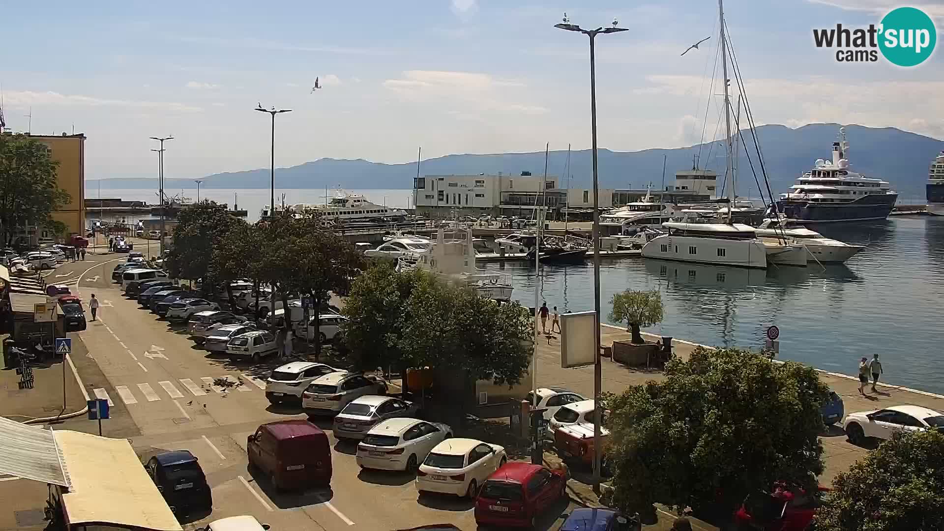 Riva i Marina u Rijeci – Web kamera uživo u Hrvatskoj