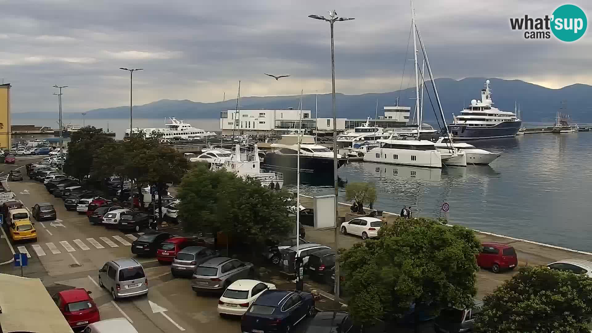 Webcam European Coastal Airlines – Rijeka