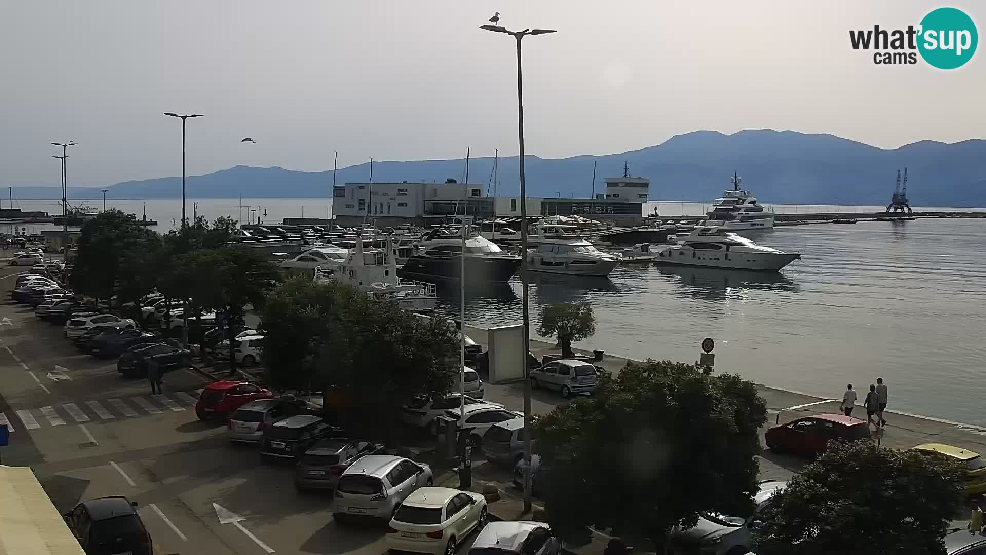 Riva i Marina u Rijeci – Web kamera uživo u Hrvatskoj