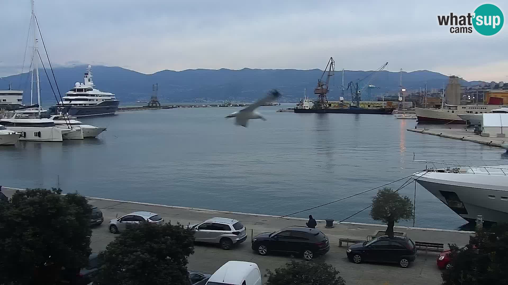 La Riva e la Marina a Rijeka (Fiume) – Live Webcam Croazia